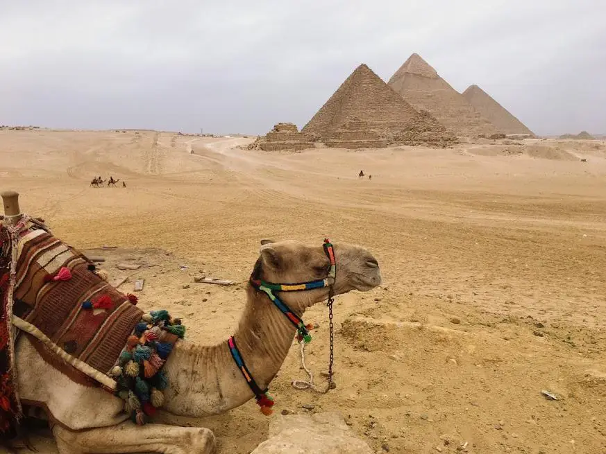 エジプト（カイロ・ルクソール）で絶対に行くべき8つのスポット