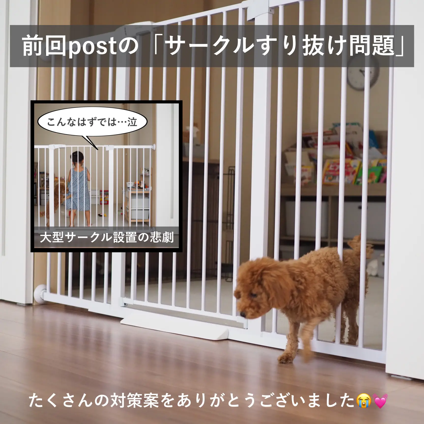 美品】小型犬用ケージ/フードスタンド/ペットゲート 【公式通販】 美品】小型犬用ケージ/フードスタンド/ペットゲート 【公式通販】