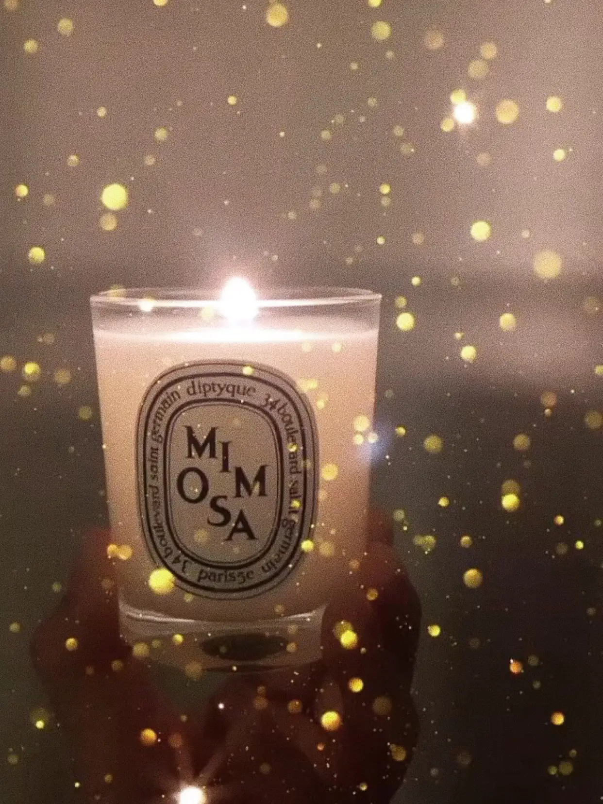 diptyque(ディップティック) キャンドル サンプル 巾着