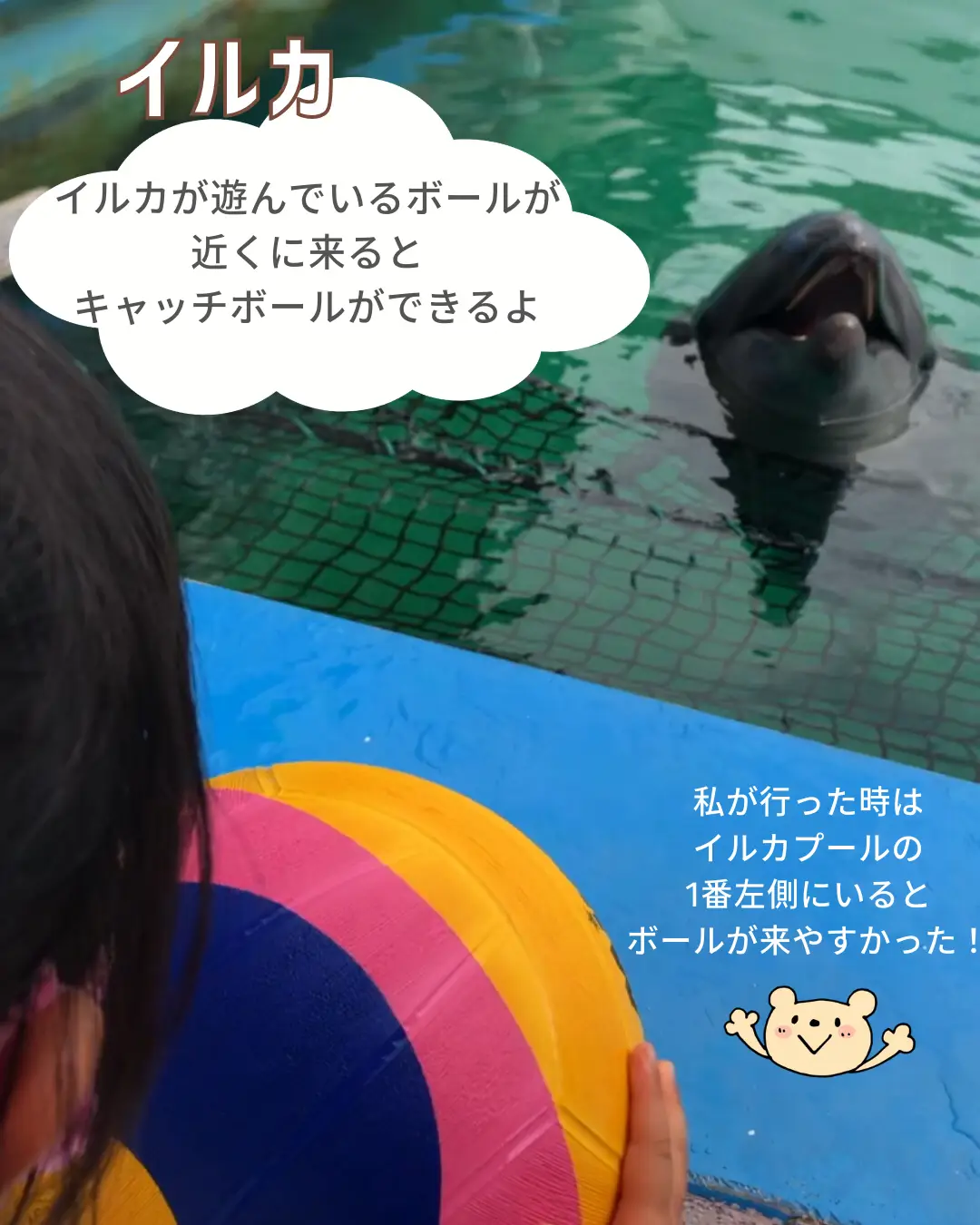 距離感ゼロの水族館レポ | piyo_tripが投稿したフォトブック | Lemon8