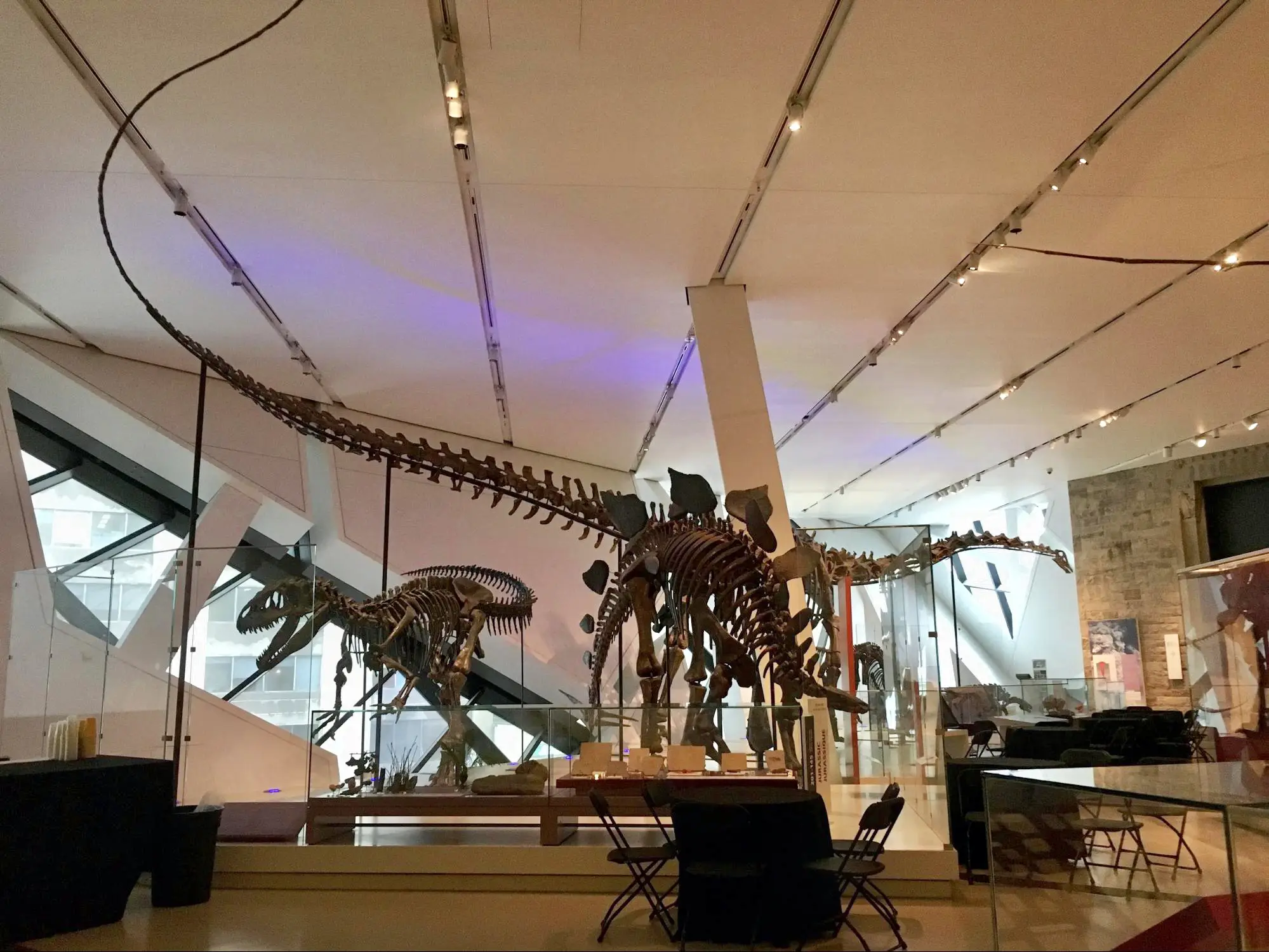 カナダ 魚の化石のインテリア カナダ 魚の化石のインテリア