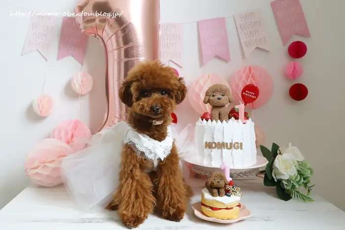 愛犬の誕生日をフェイクケーキでお祝い♡ | momokyarabenが投稿した