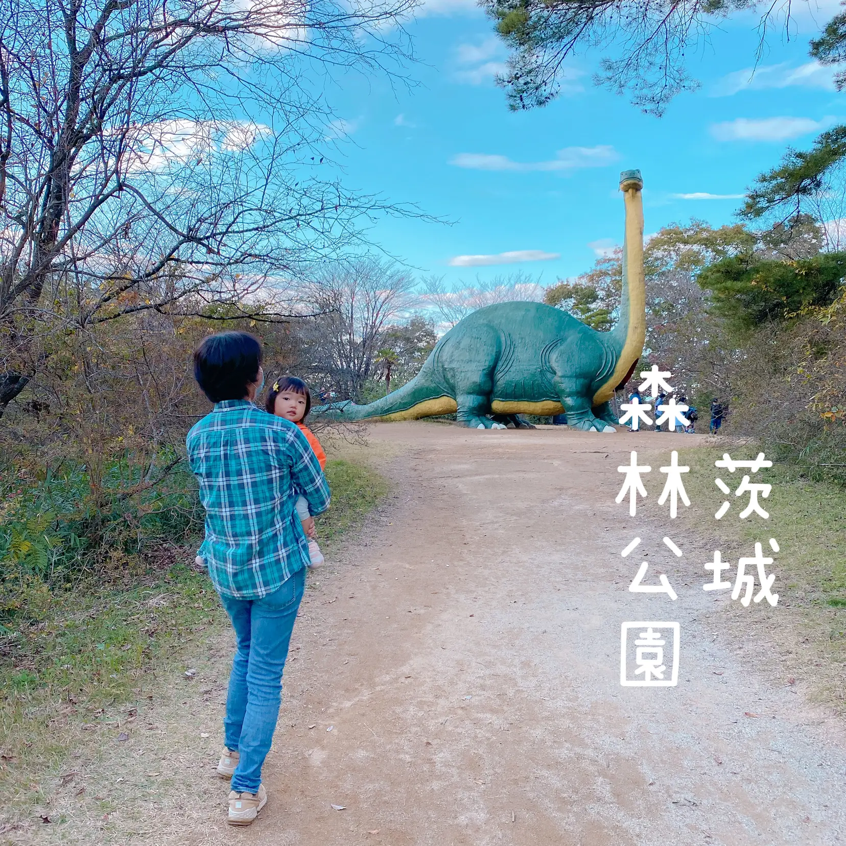 水戸 森林公園 セール ベビーカー