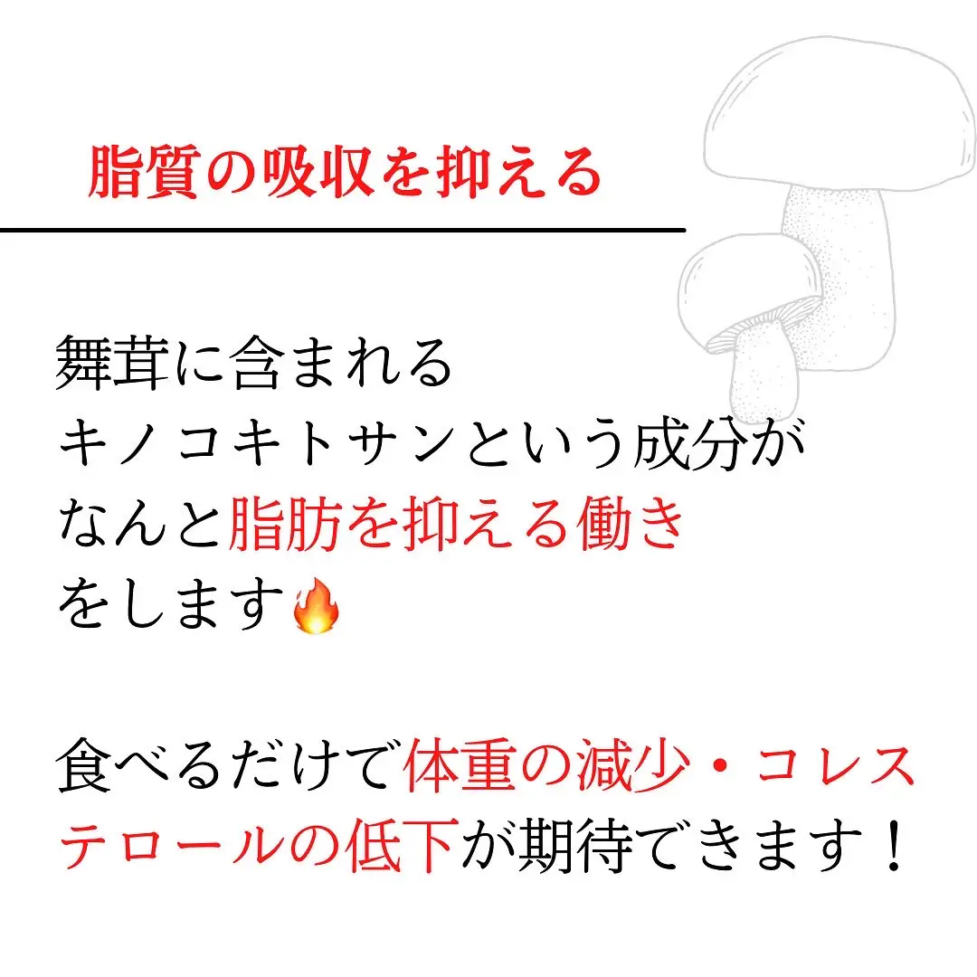 2024年の1日1食 ダイエットのアイデア20選