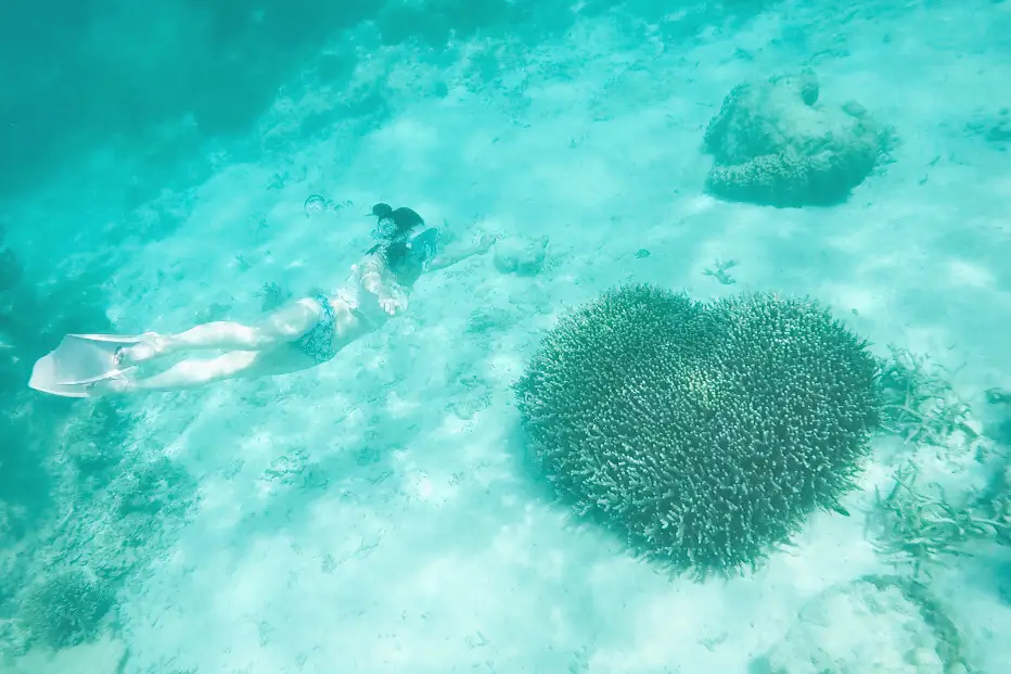 石垣島】海の中で見つけたハートの珊瑚 | tomorip ✈︎ 週末旅人が投稿