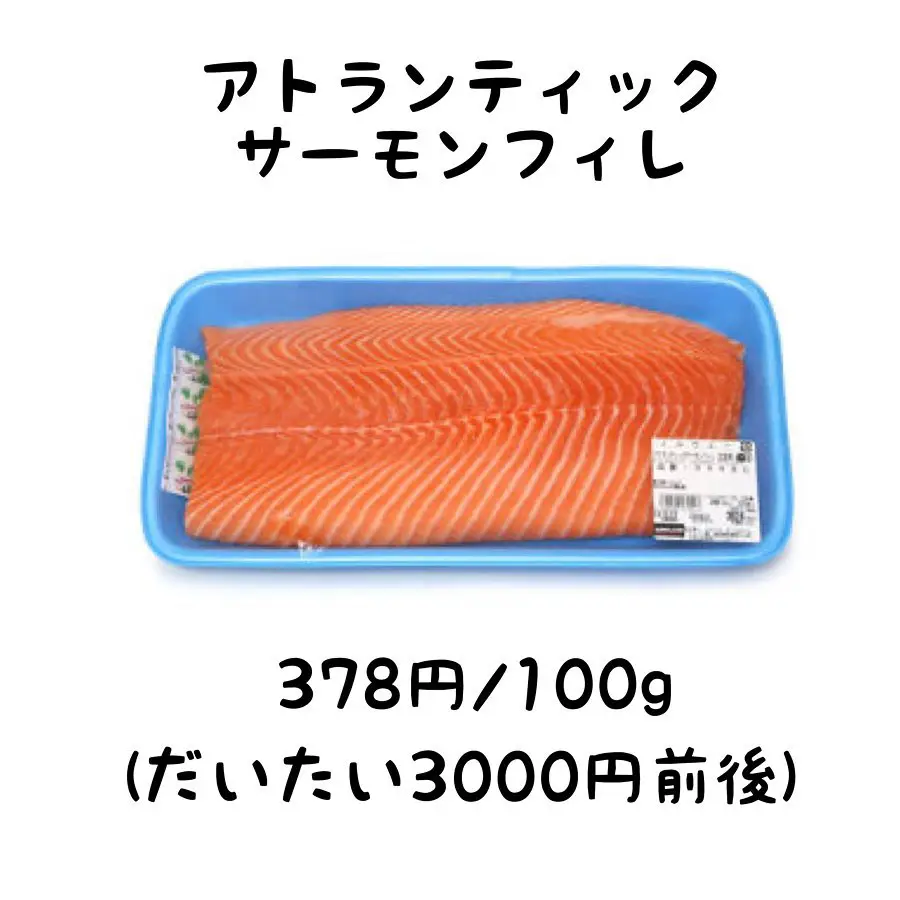 【6キロ】ELMO ORGANIC 1歳〜　サーモン味 6キロ】 ELMO ORGANIC 1歳〜 サーモン味