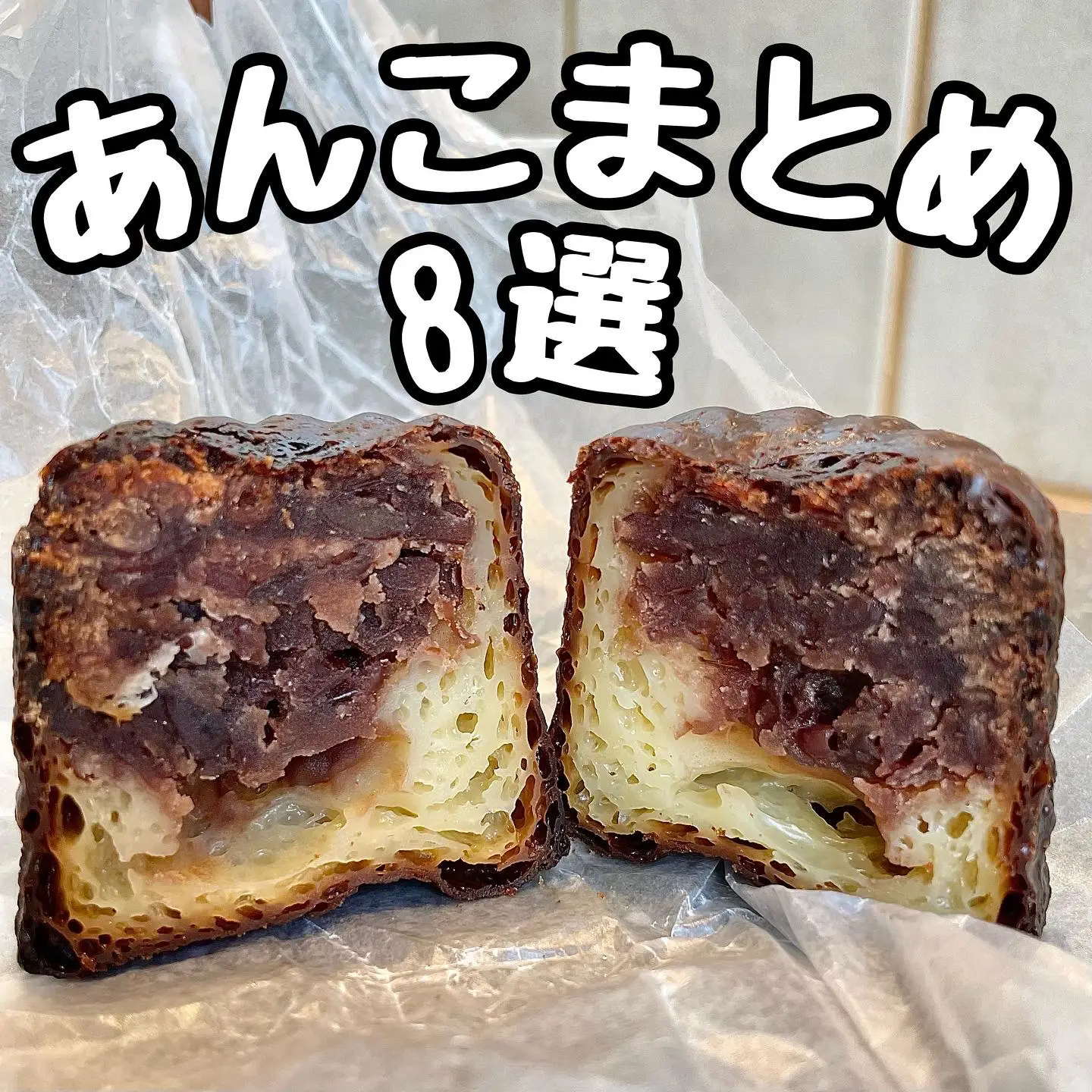 免税 あんこさませんよう✩︎⡱ - ペット用品