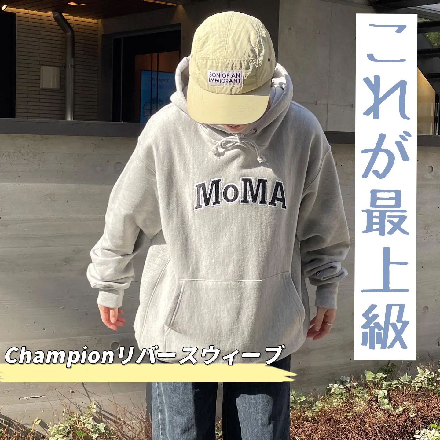 Hoodie's Supreme ▷ ︎ Champion Immortal Masterpiece Reverse Weave