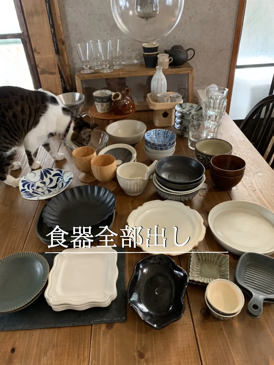 【浄法寺塗】 浅椀揃 / うるしの館 大清/国産漆/浄法寺漆[浅鉢/取鉢/取皿] 浄法寺塗】 浅椀揃 / うるしの館 大清/国産漆/浄法寺漆[浅鉢/取