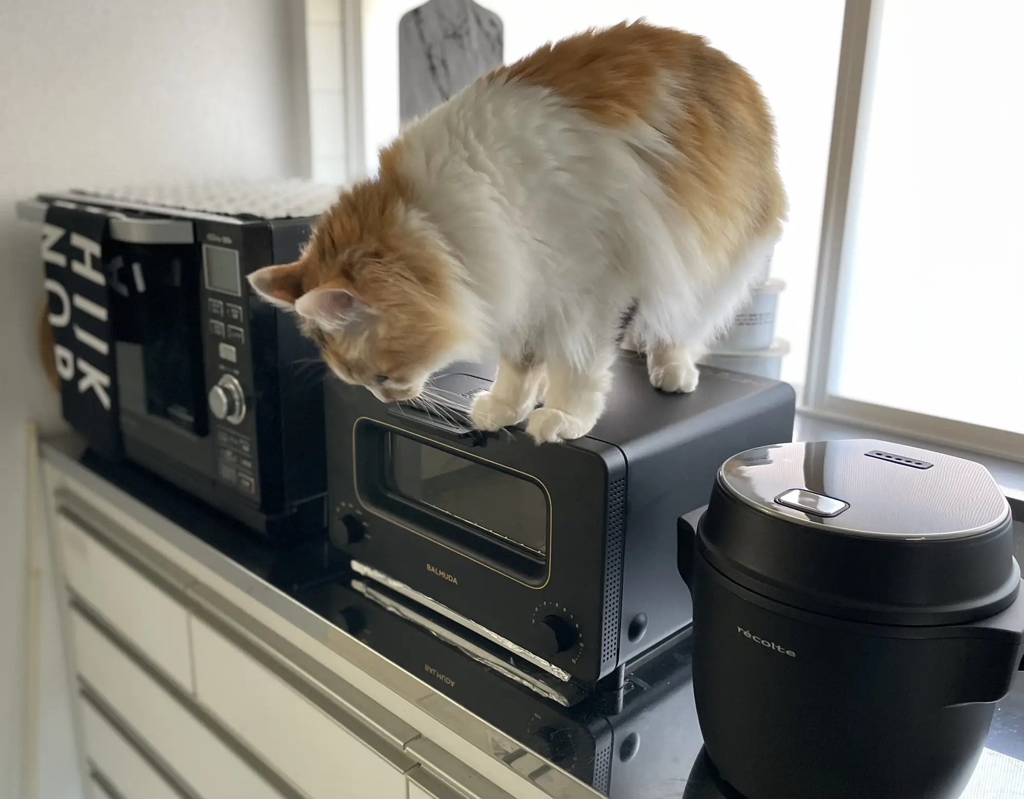 設置取付まで無料✨SHARP スタイリッシュシルバー3ドア冷蔵庫！洗濯機 設置取付まで無料✨SHARP スタイリッシュシルバー3ドア冷蔵庫！洗濯機