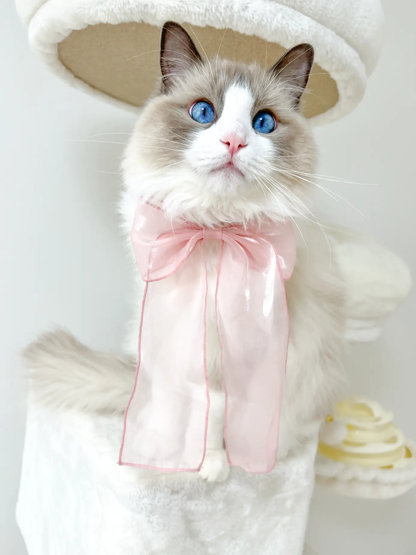 ぐでねこチャンチャーム　トラネコ ぐでねこチャン チャームトラネコ