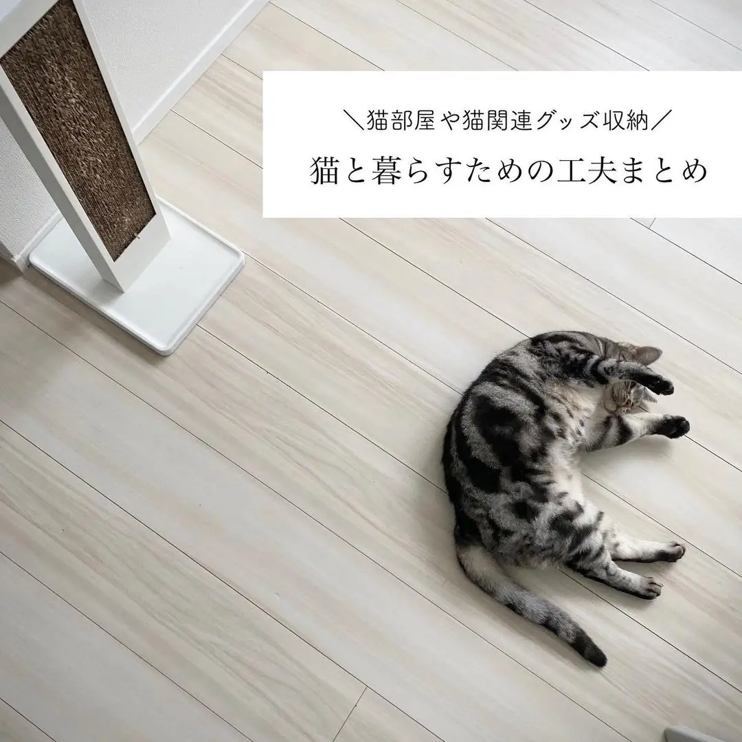 アウトレット 灰猫( ΦωΦ )様 リクエスト 2点 まとめ商品 - まとめ売り