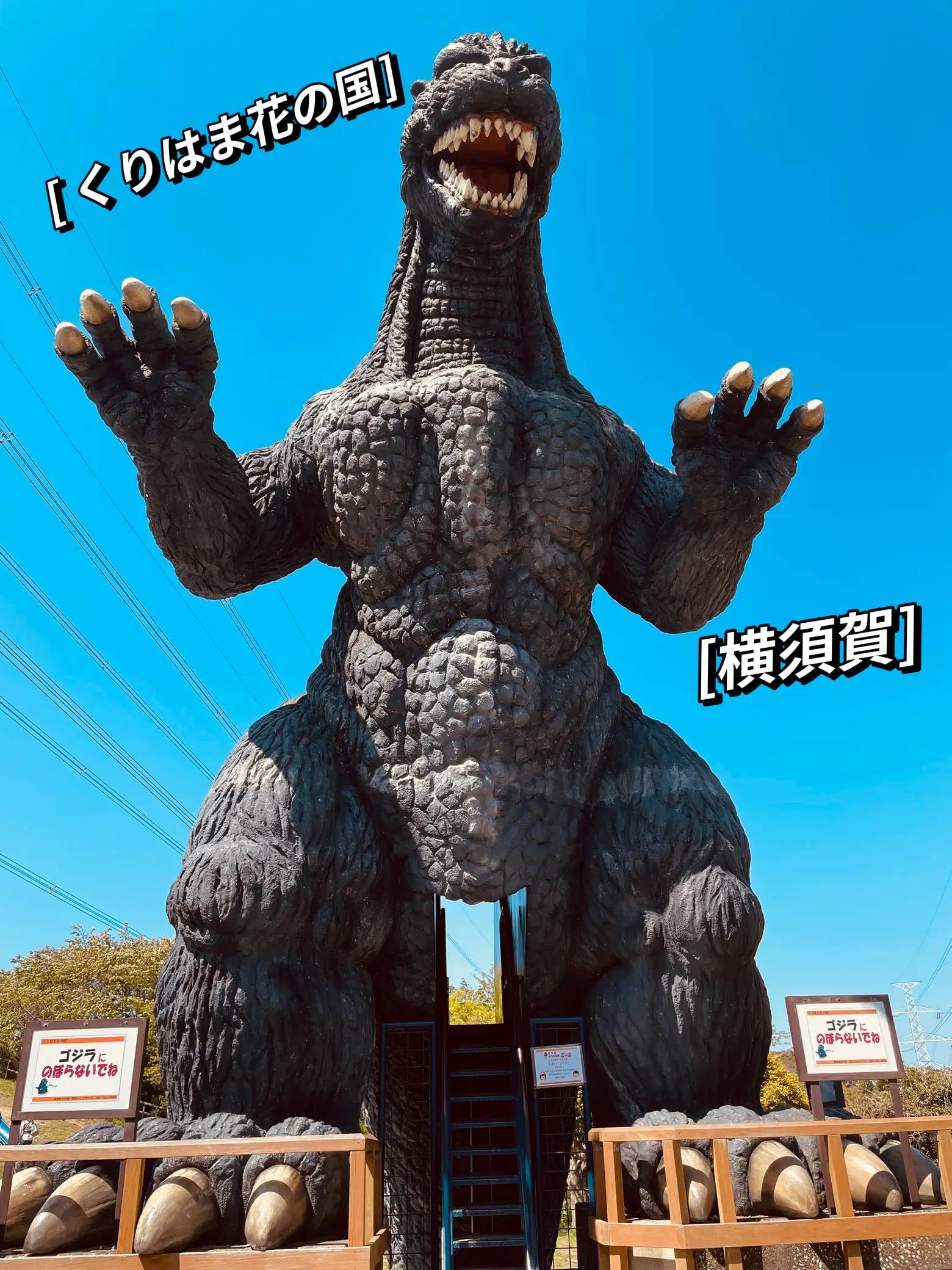 ⚠️ゴジラ 昭和 レトロ はぐらかし 