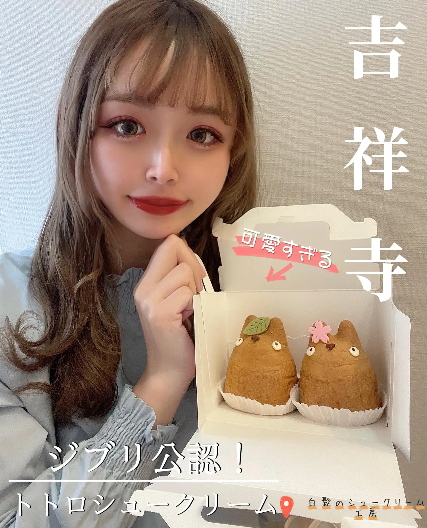 Kichijoji 】 Take-out confectionery shop recognized by Ghibli, Gallery  posted by ぴょんたI 東京グルメ・居酒屋