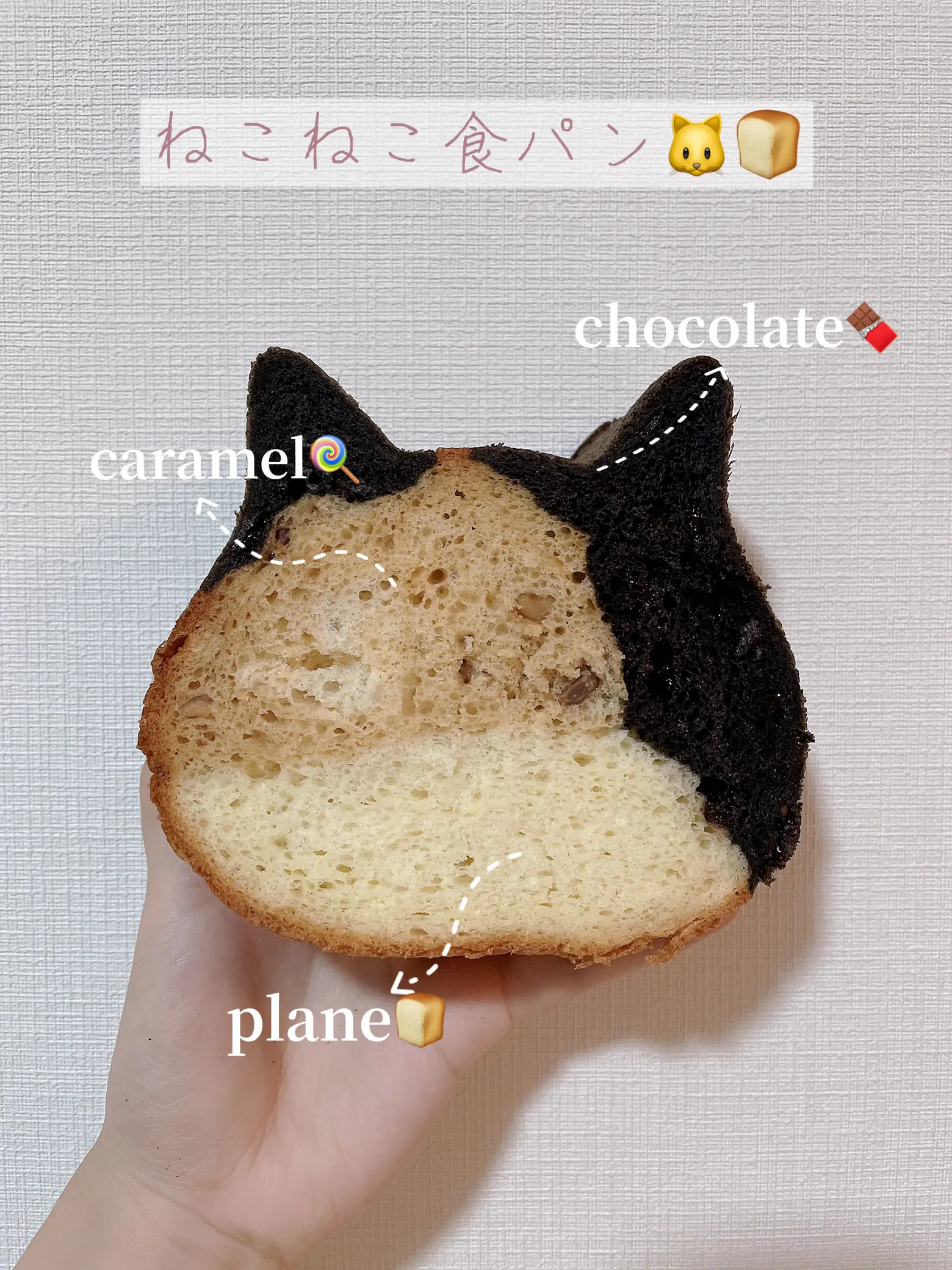 大人気🐱ねこねこ食パン | ラグドールのWinnie🐱が投稿したフォト