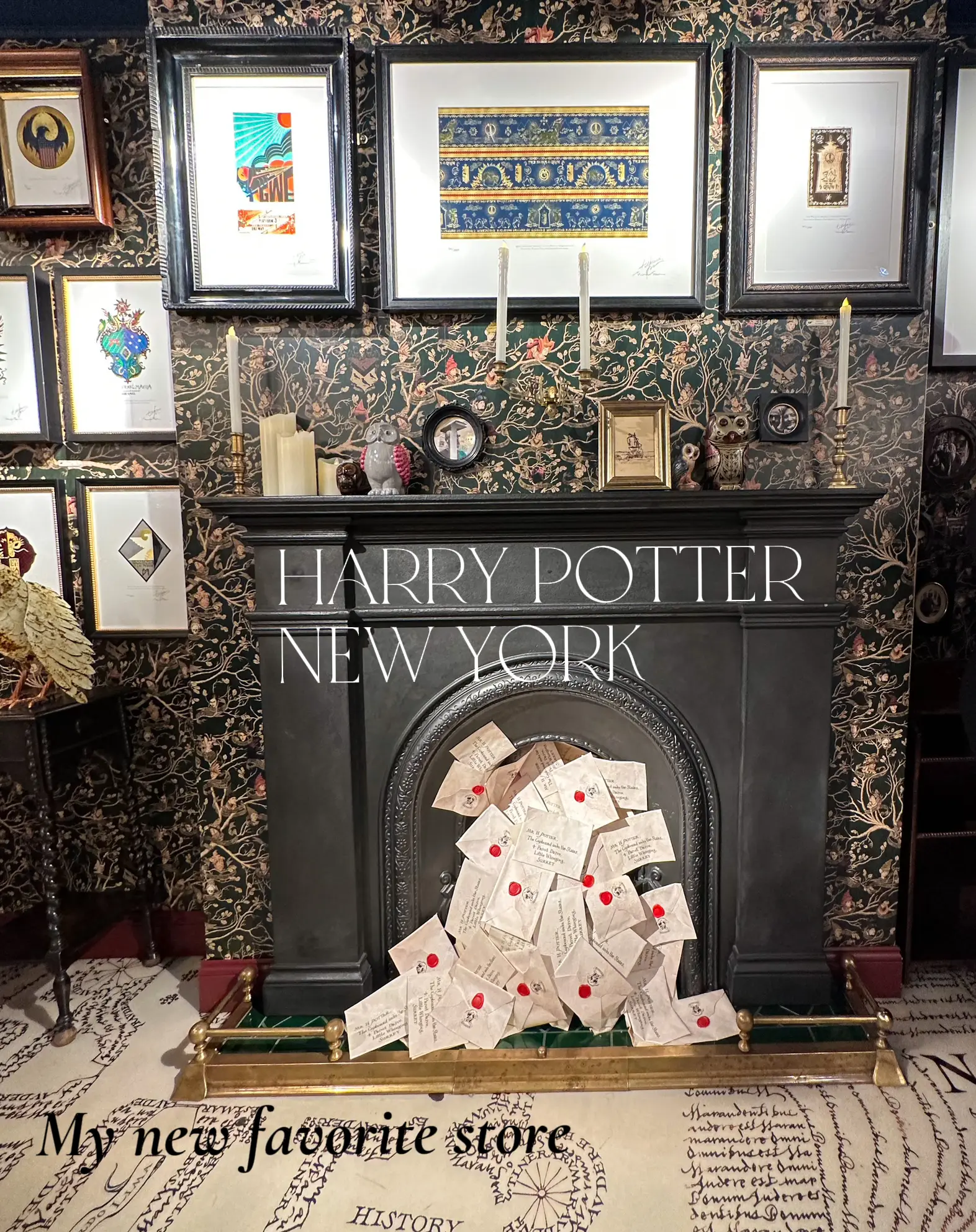 itty bittys Harry Potter Ron Weasley Stuffed Animal – Ann's Hallmark and  Creative