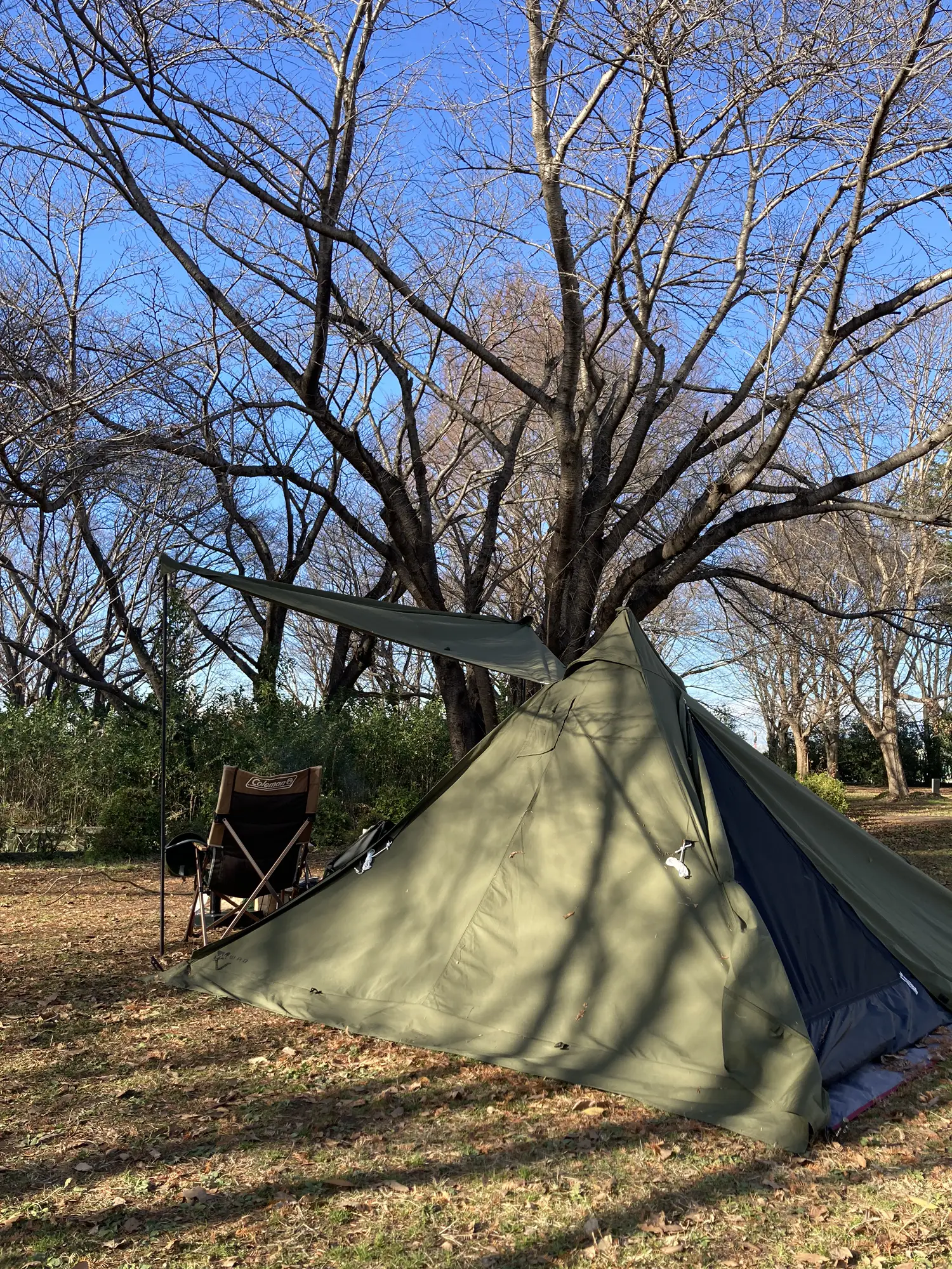 WAQ Alpha TC DX カーキ WAQ Alpha T/C SOLO DX ソロ〜デュオ用 ソロ用ティピテント