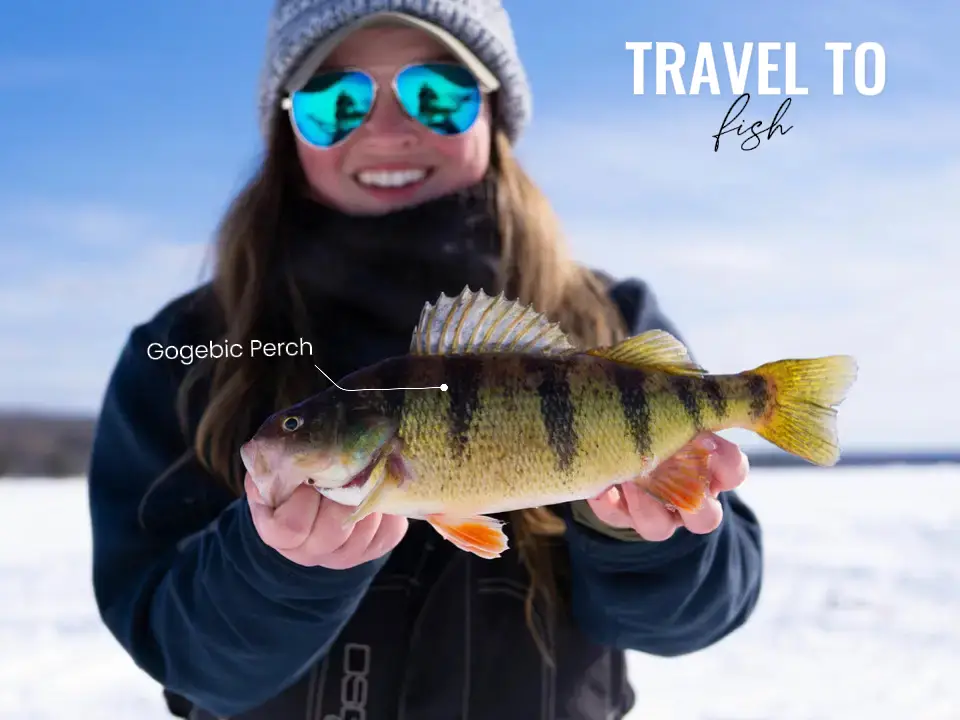 Ice fishing >>> everything else, Gallery posted by OutdoorGirlJess
