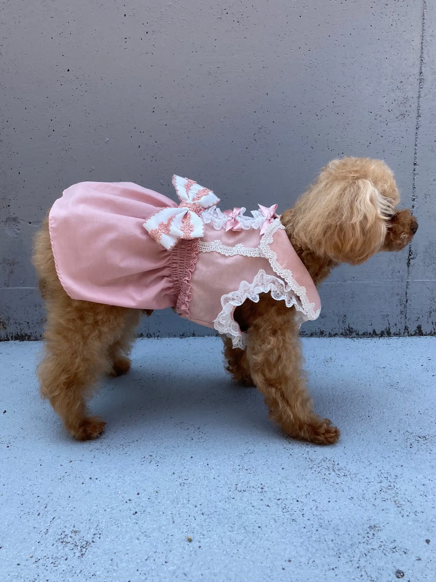 犬服ハンドメイドスター柄ピンクフリルタンクトップオーダー受付ページ