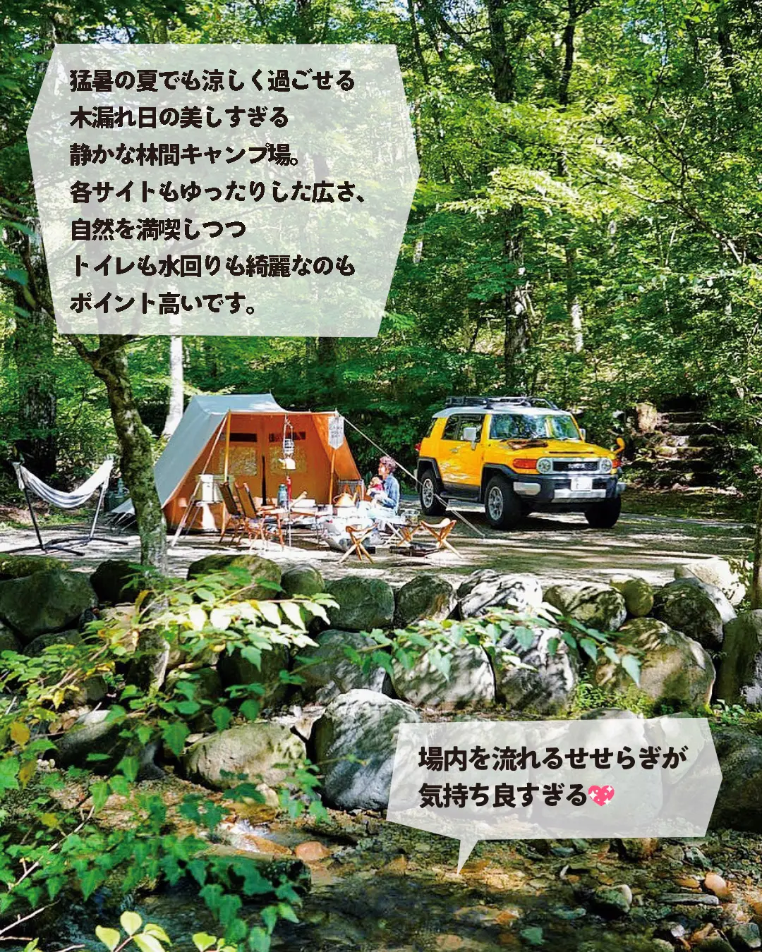 【岐阜】ココ、ホントは教えたくない💦美しすぎる林間キャンプ場の画像 (1枚目)