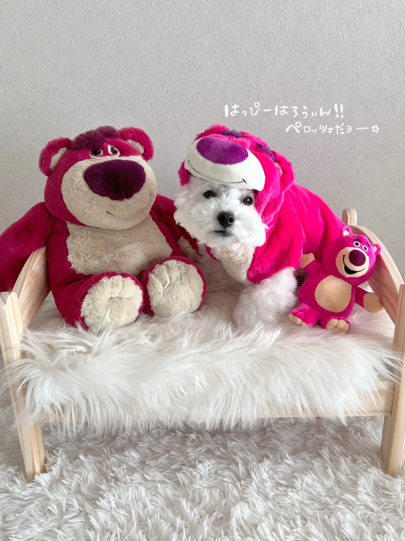 てぃっぴー 様専用 tippy様 専用 apple teaさま専用 Apple Tea 25