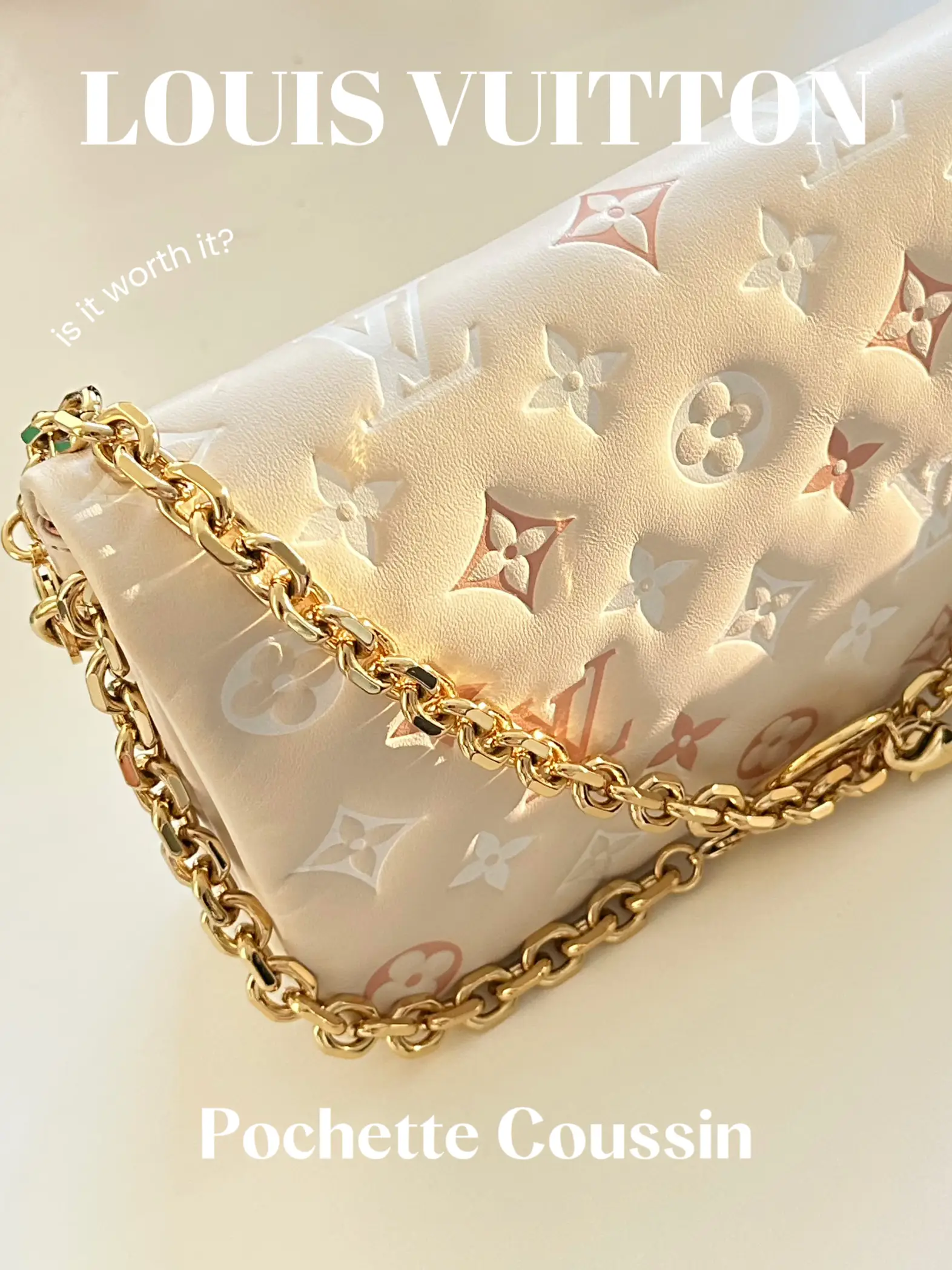 Product Review: LV's New Pochette Coussin Bag, Gallery posted by Liliana