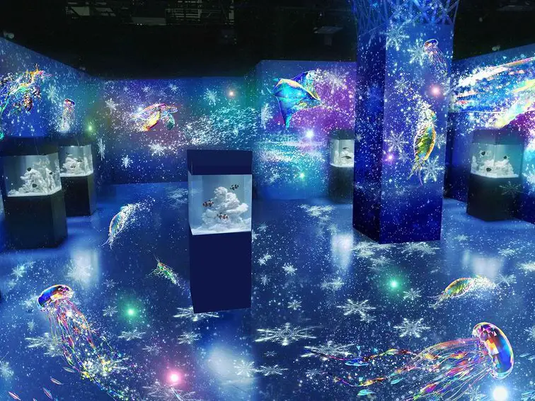 Naked Snow Aquarium Maxell Aqua Park Shinagawa Gallery Posted By