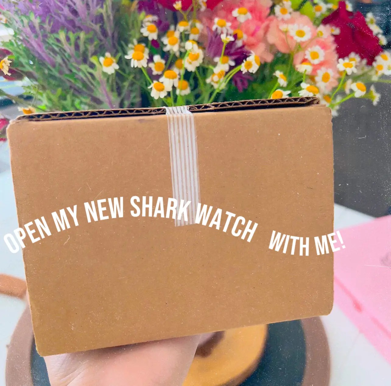 Shark watch near on sale me