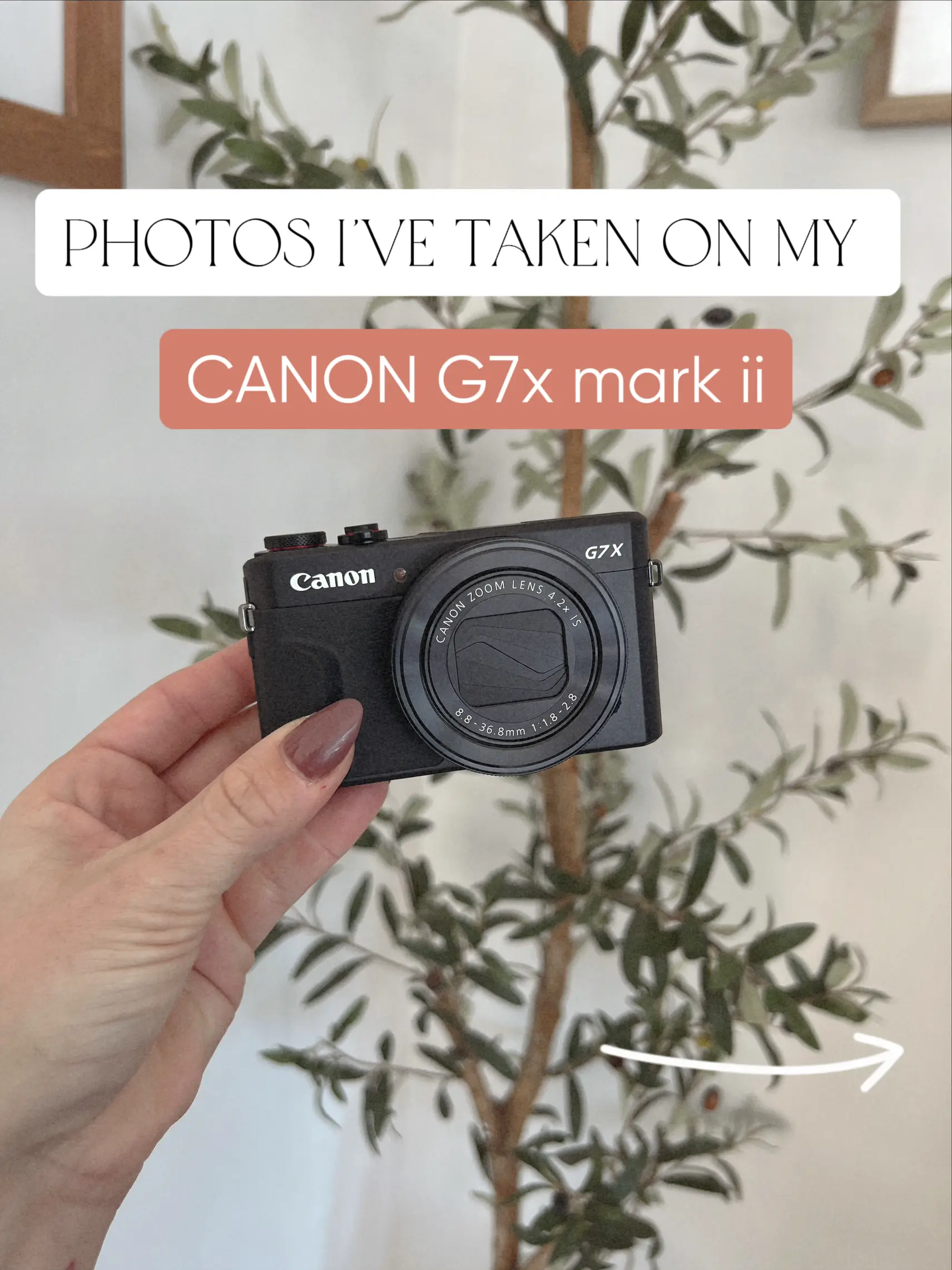 Photos from my point and shoot camera 📸 | แกลเลอรีที่โพสต์โดย janine ...