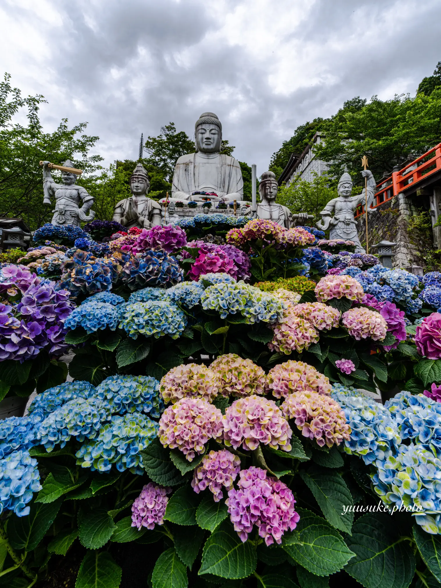 Takatori Town, Nara Prefecture Hydrangea scenic spot in Nara