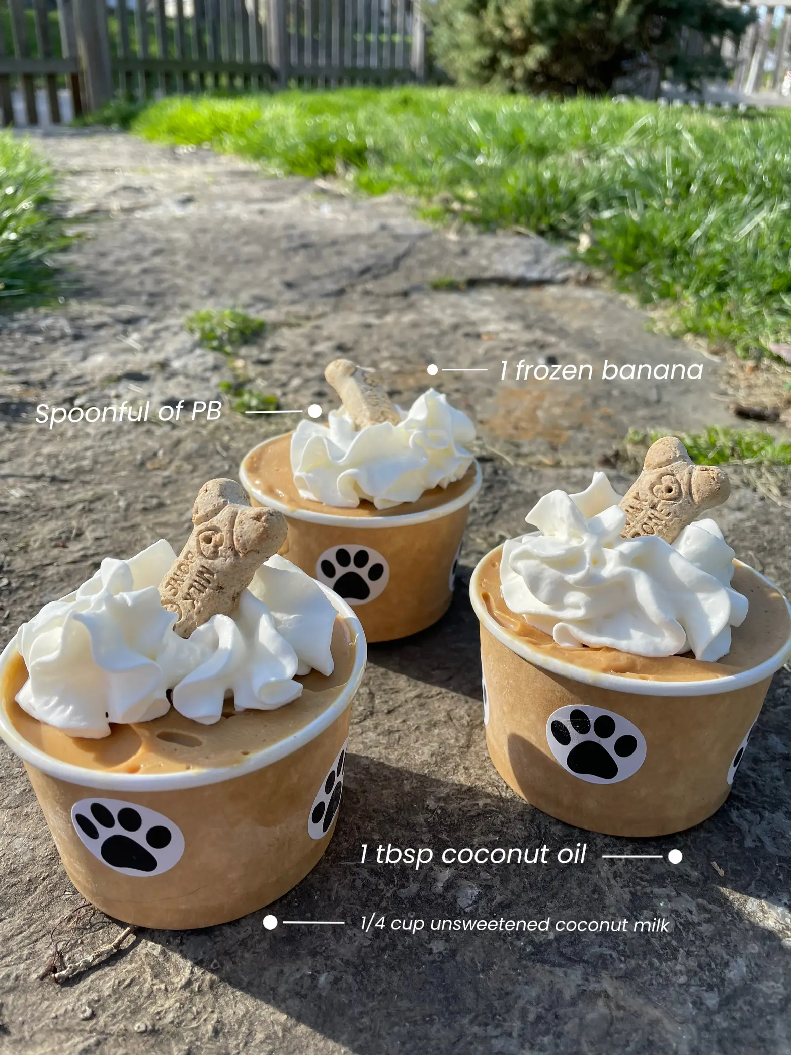 Homemade Dog Ice Cream 🍦, Gallery posted by Ronnie Colwell
