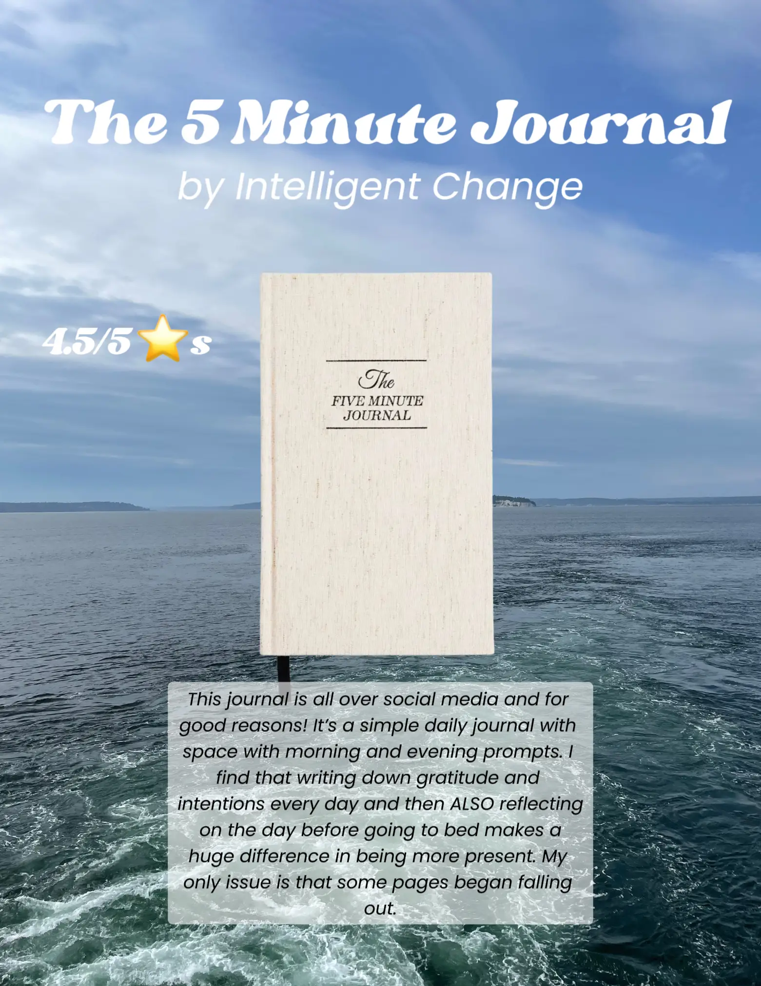 The Gratitude Journal: 5 Minute Journal Daily Affirmations - Temu