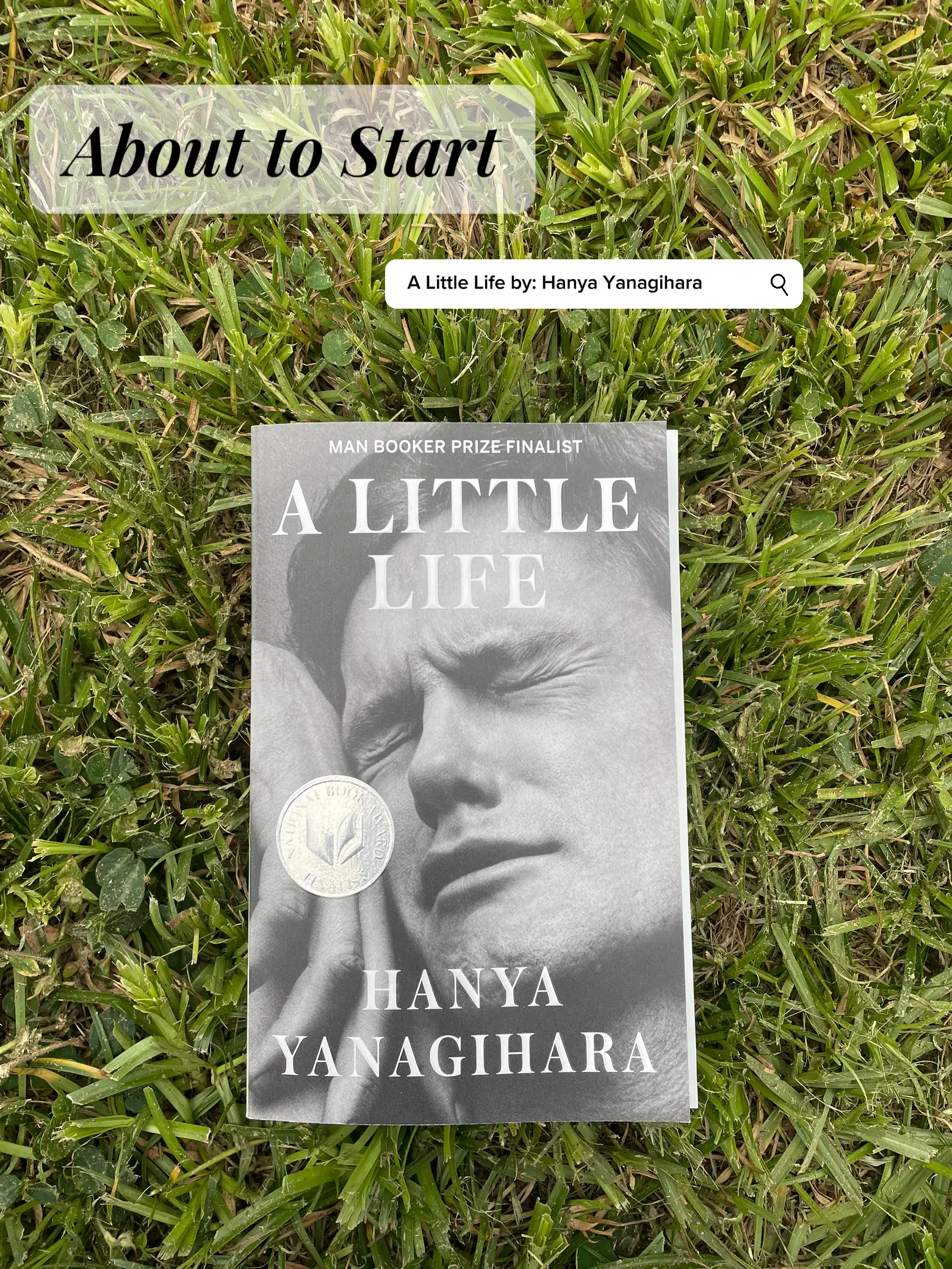 A Little Life by Hanya Yanagihara - Lemon8 Search