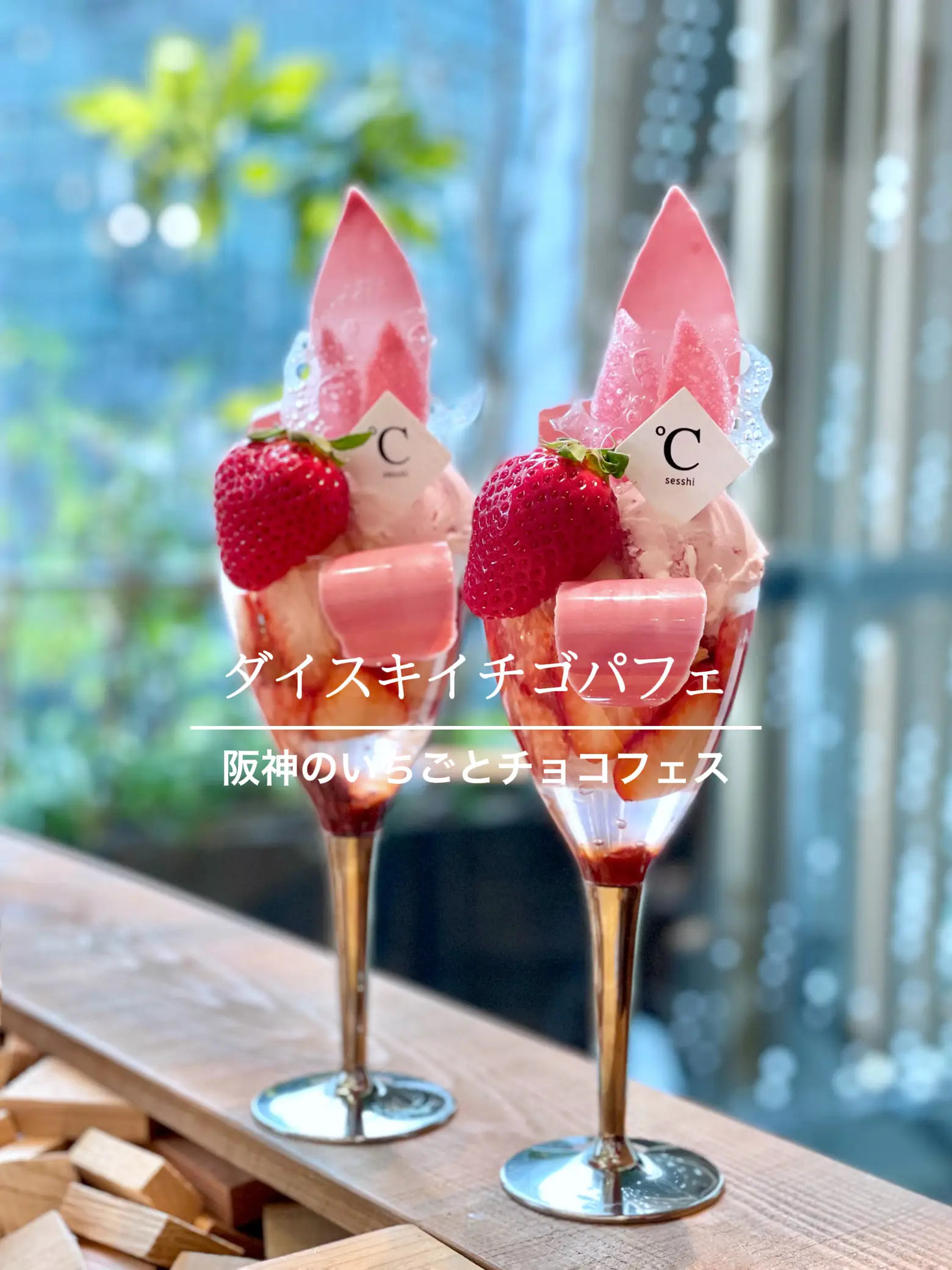 大阪✨ダイスキイチゴパフェ🍓🥄✨ | AKANEが投稿したフォトブック