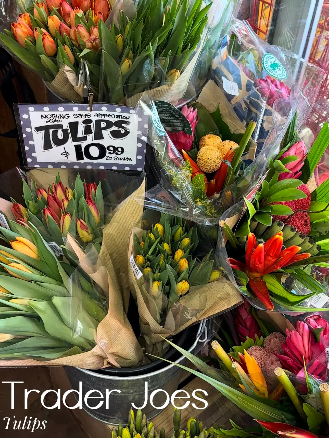 Tulips at Trader Joe’s 🌷 Gallery posted by RICHGIRL ’ᥫ᭡ Lemon8