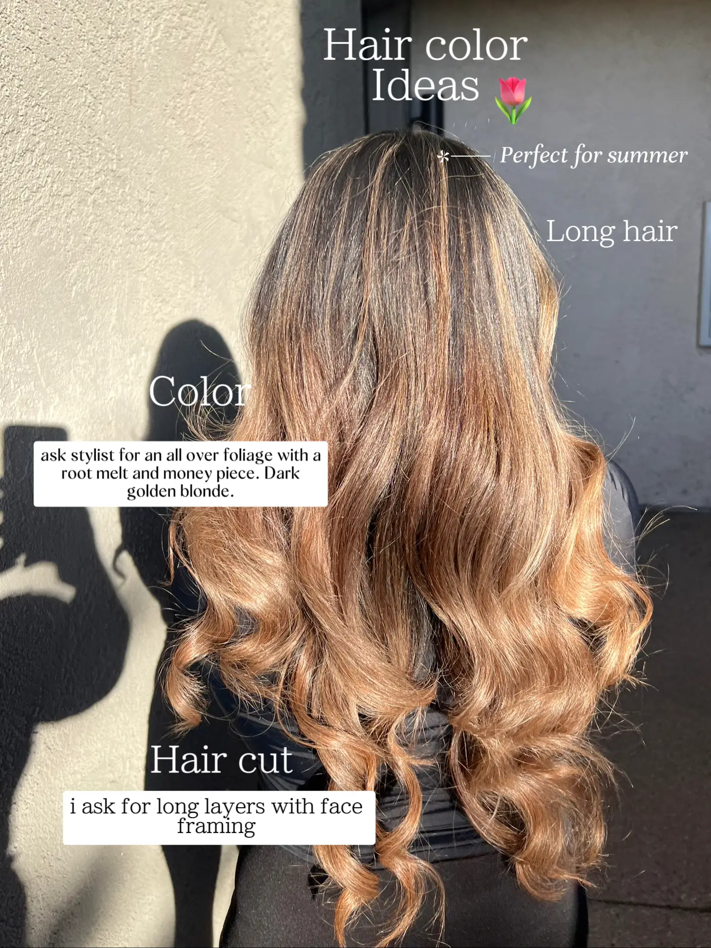 Summer Hair Colors: Money Piece Hair