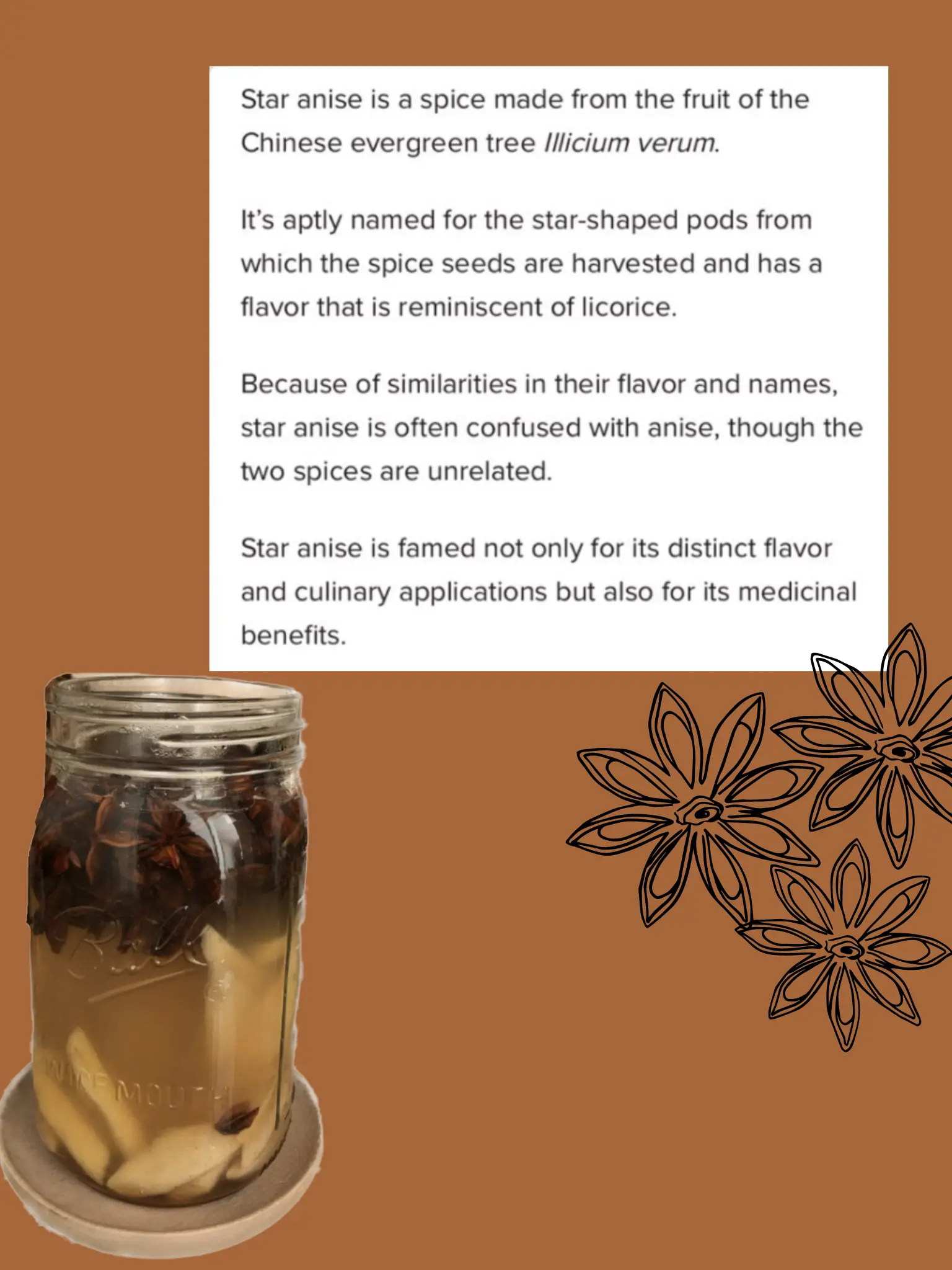 Be Swell Medicinal Elixir Herbal Tea