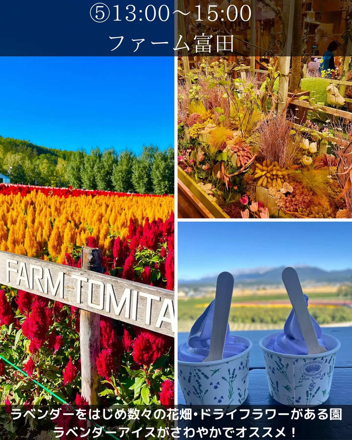 リボン 花畑 ラベンダー スモック130 オート 