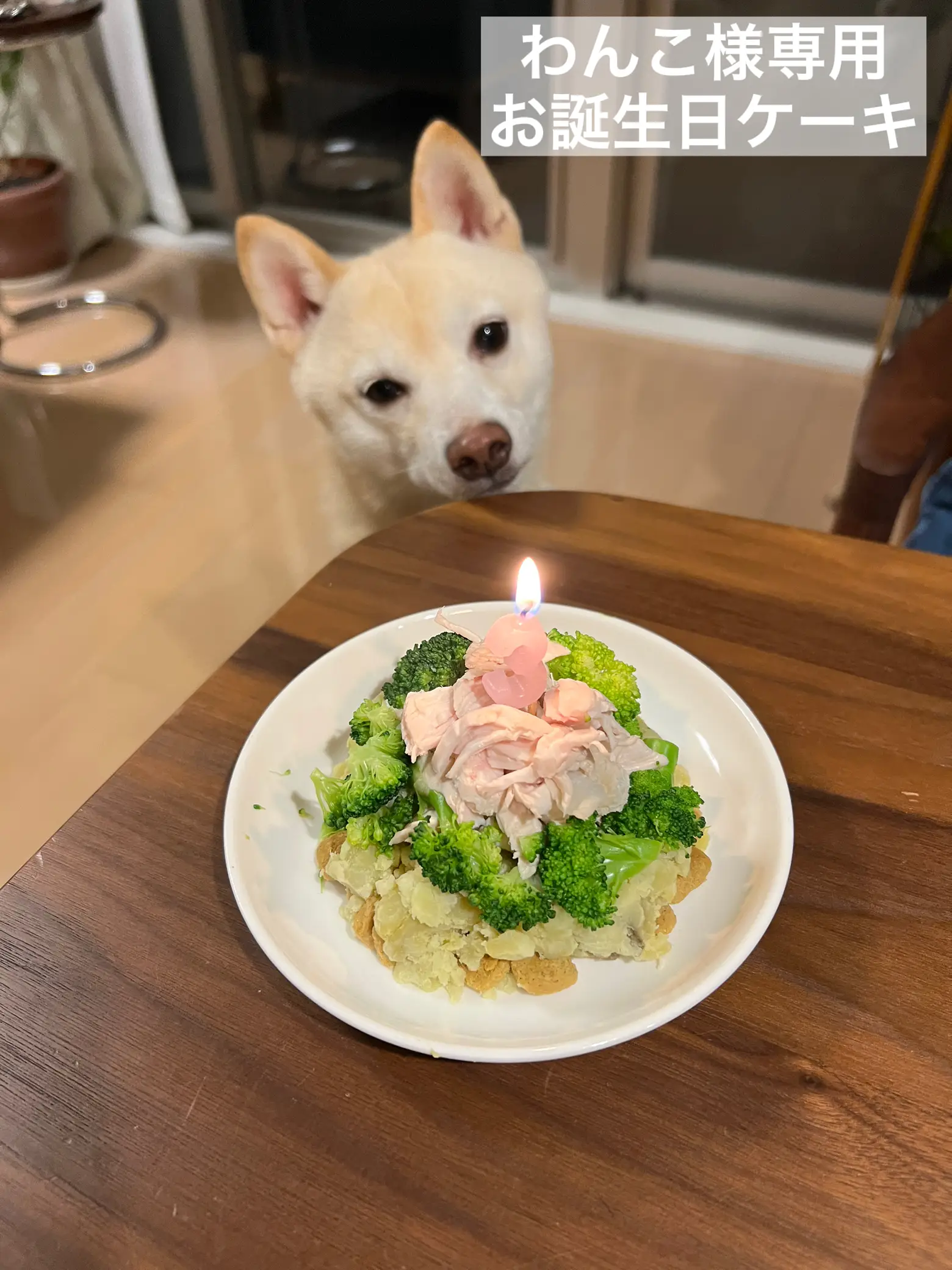 愛犬のおたんじょうびケーキ | くらしゅみ_ おうちを楽しむが投稿した