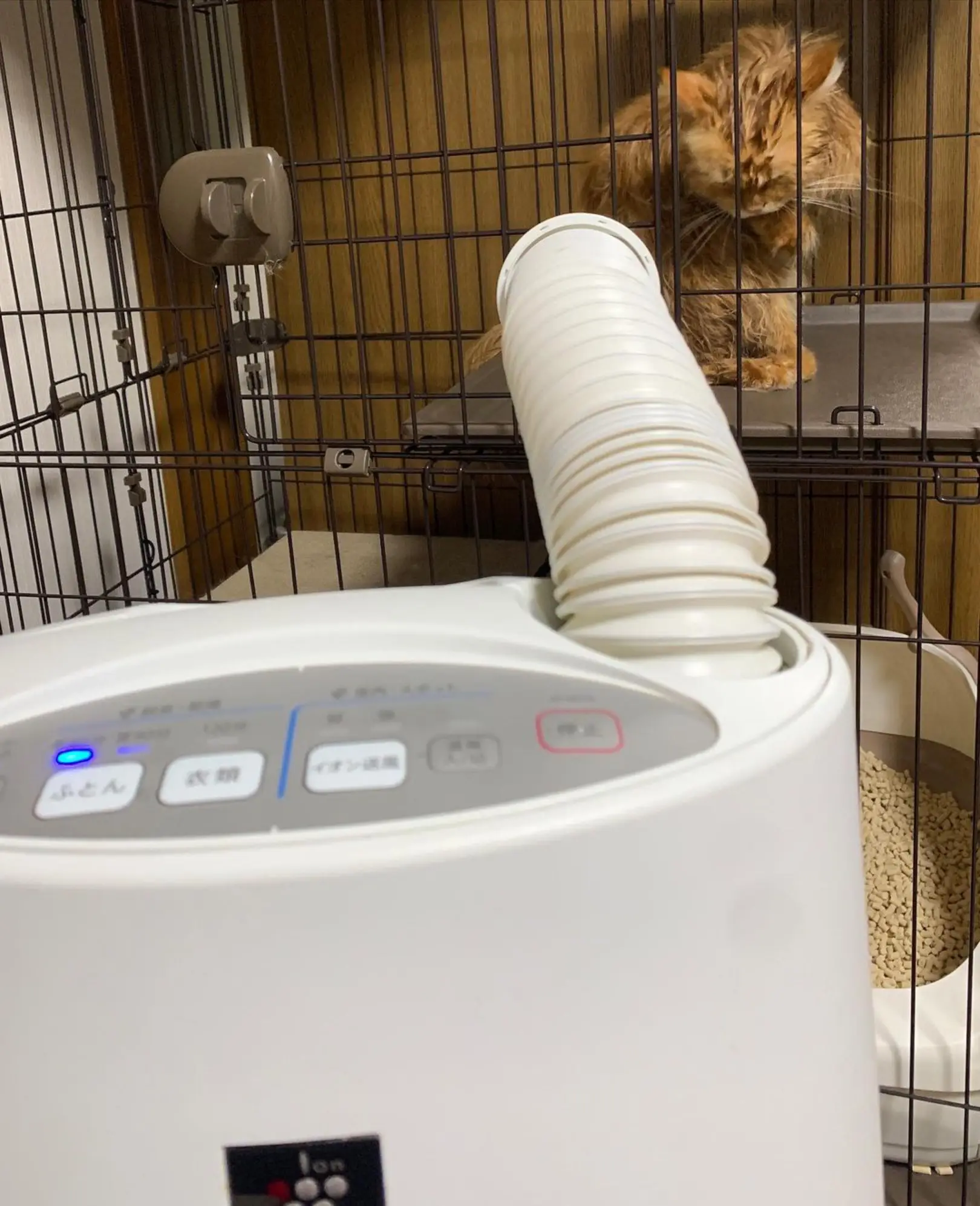 I feel ingenuity in the third piece | Gallery posted by zoic_cats | Lemon8