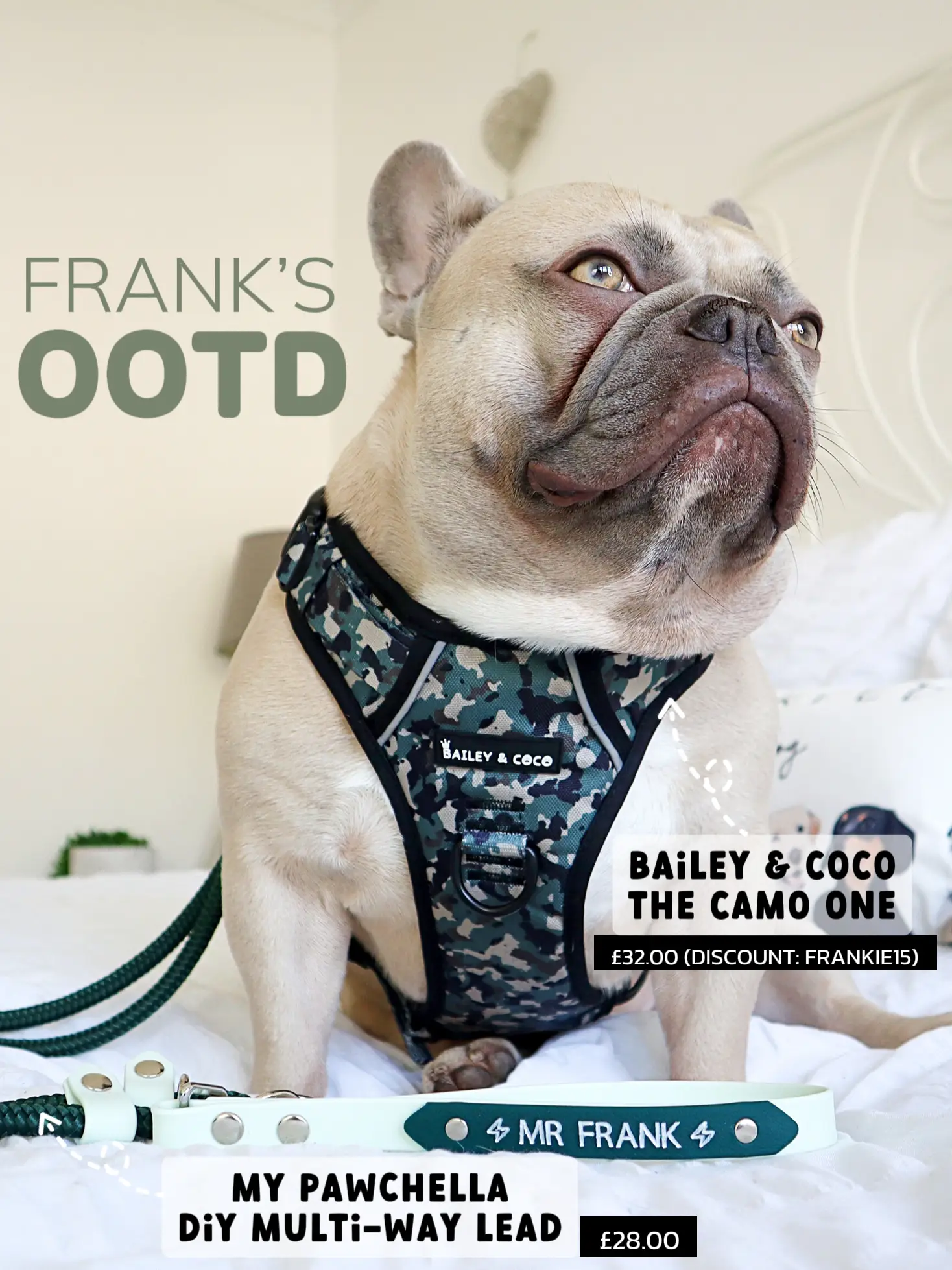 Frankie French Bulldog Walking Harness (Camo)