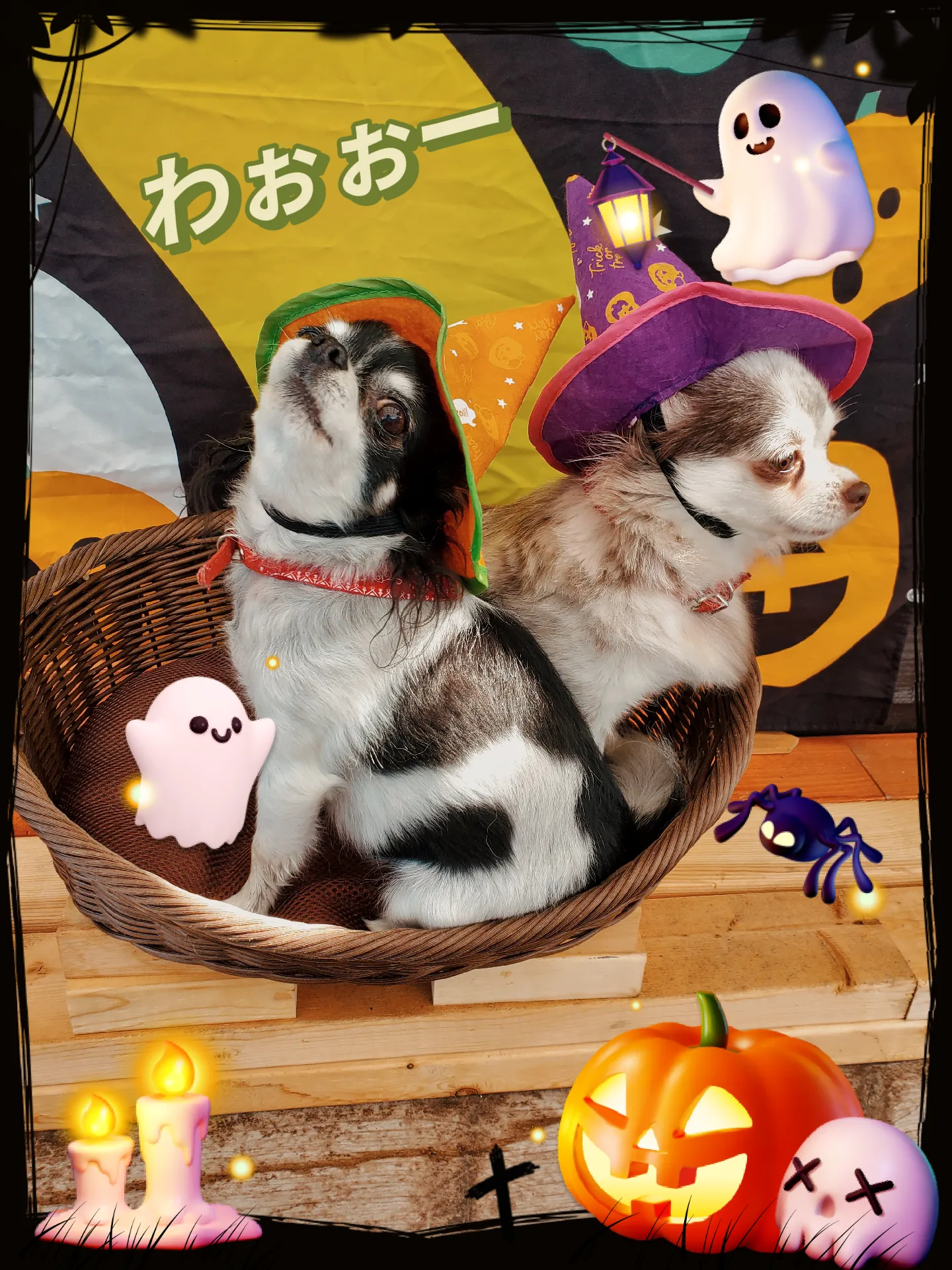 👻ハッピーハロウィン🎃 | Saeko0914が投稿したフォトブック | Lemon8