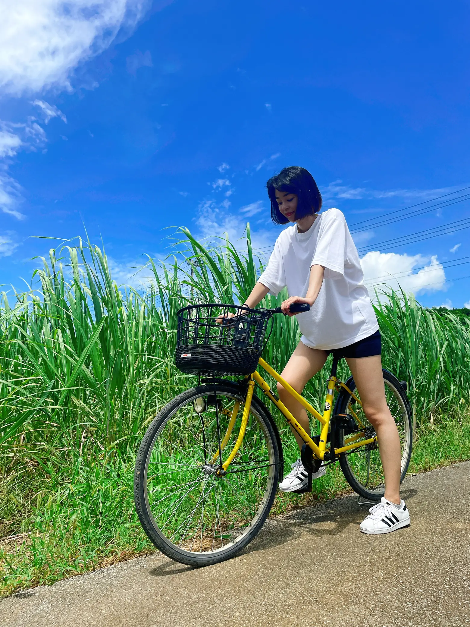 こどもに❤️サイクリング好き❕インテリアにも❤️自転車 固い