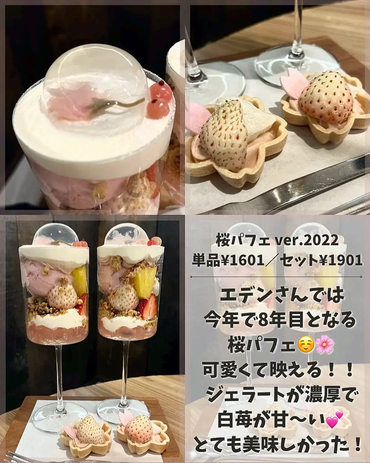 水饅頭が綺麗な桜パフェ！ | 🍚が投稿したフォトブック | Lemon8