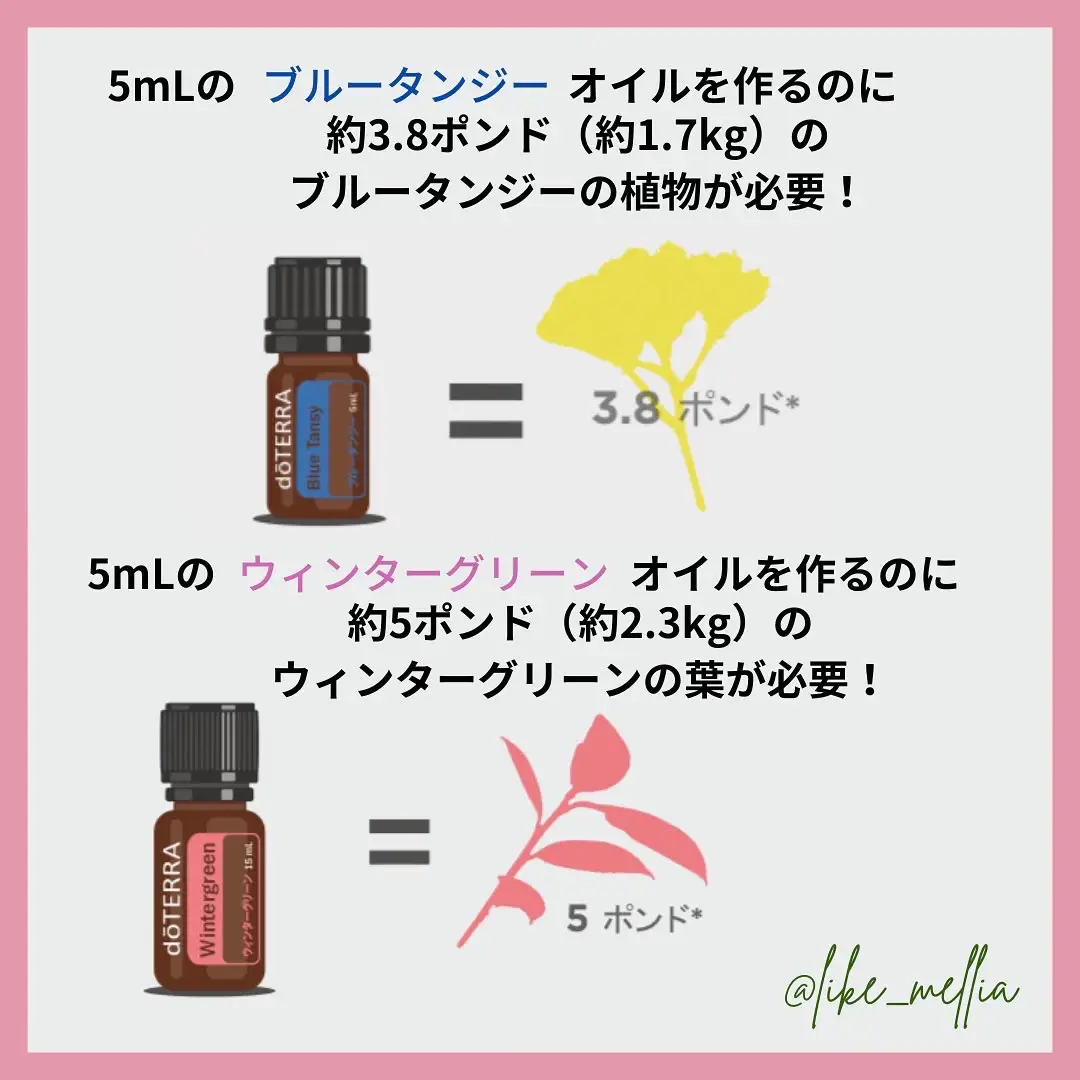 ドテラ ブルータンジー 5ml ドテラ ブルータンジー 5ml