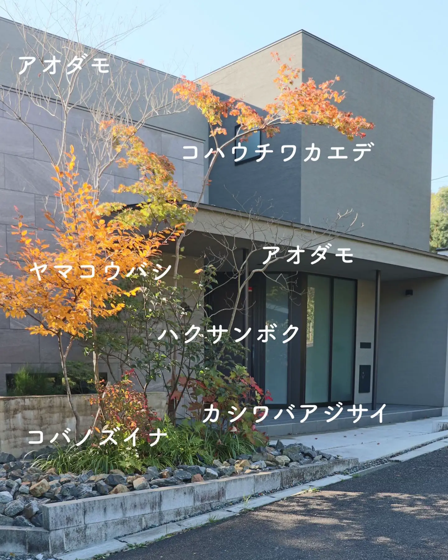 紅葉と植栽の名前一覧 | mina_home88が投稿したフォトブック | Lemon8