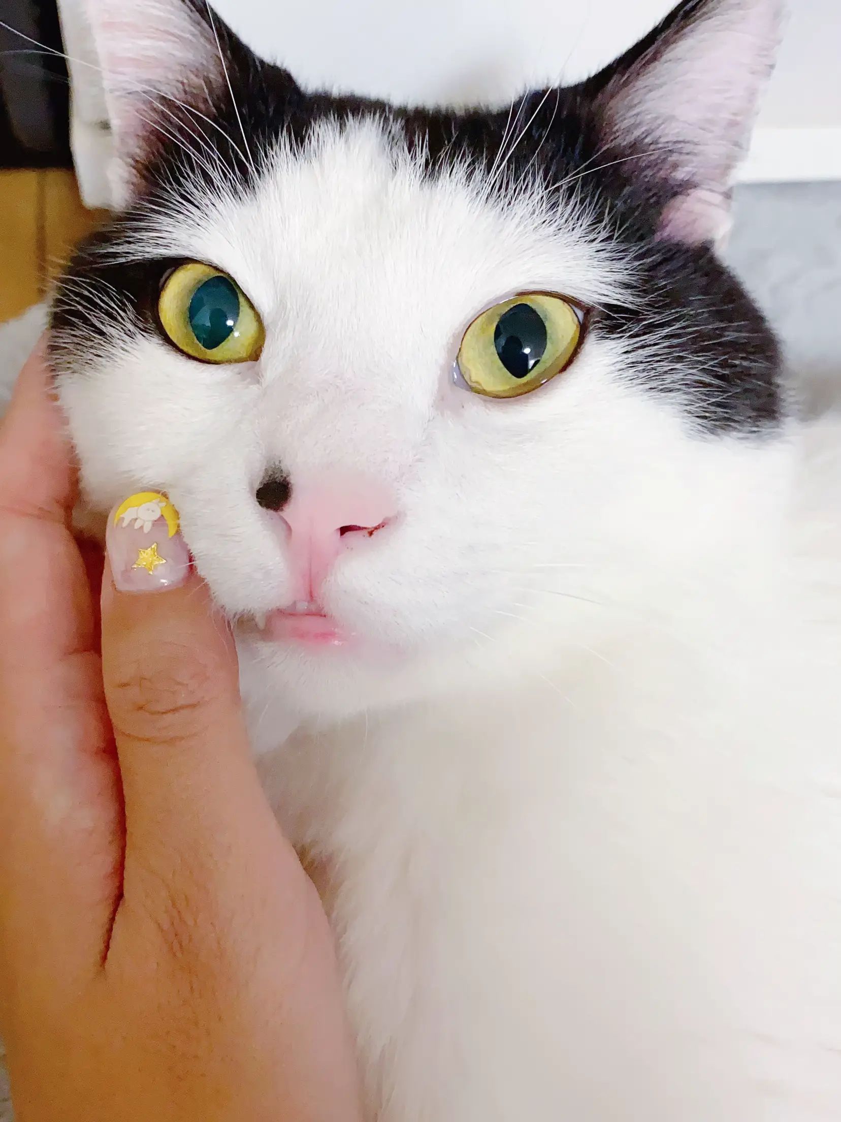 セーラームーン ネイル💅 | mori🐱が投稿したフォトブック | Lemon8