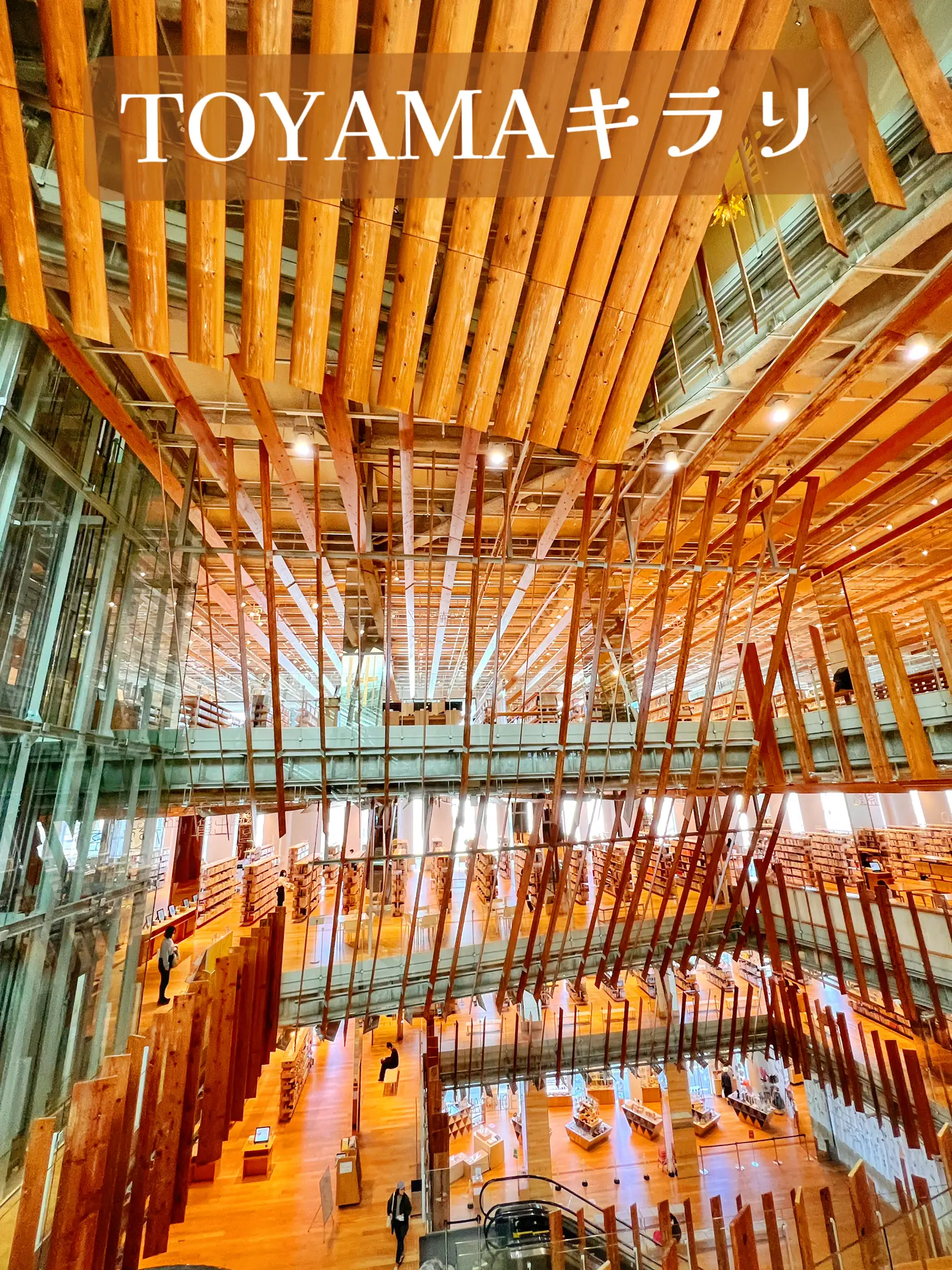 ジョウナイトウ無垢な瞳動物画トラ版画