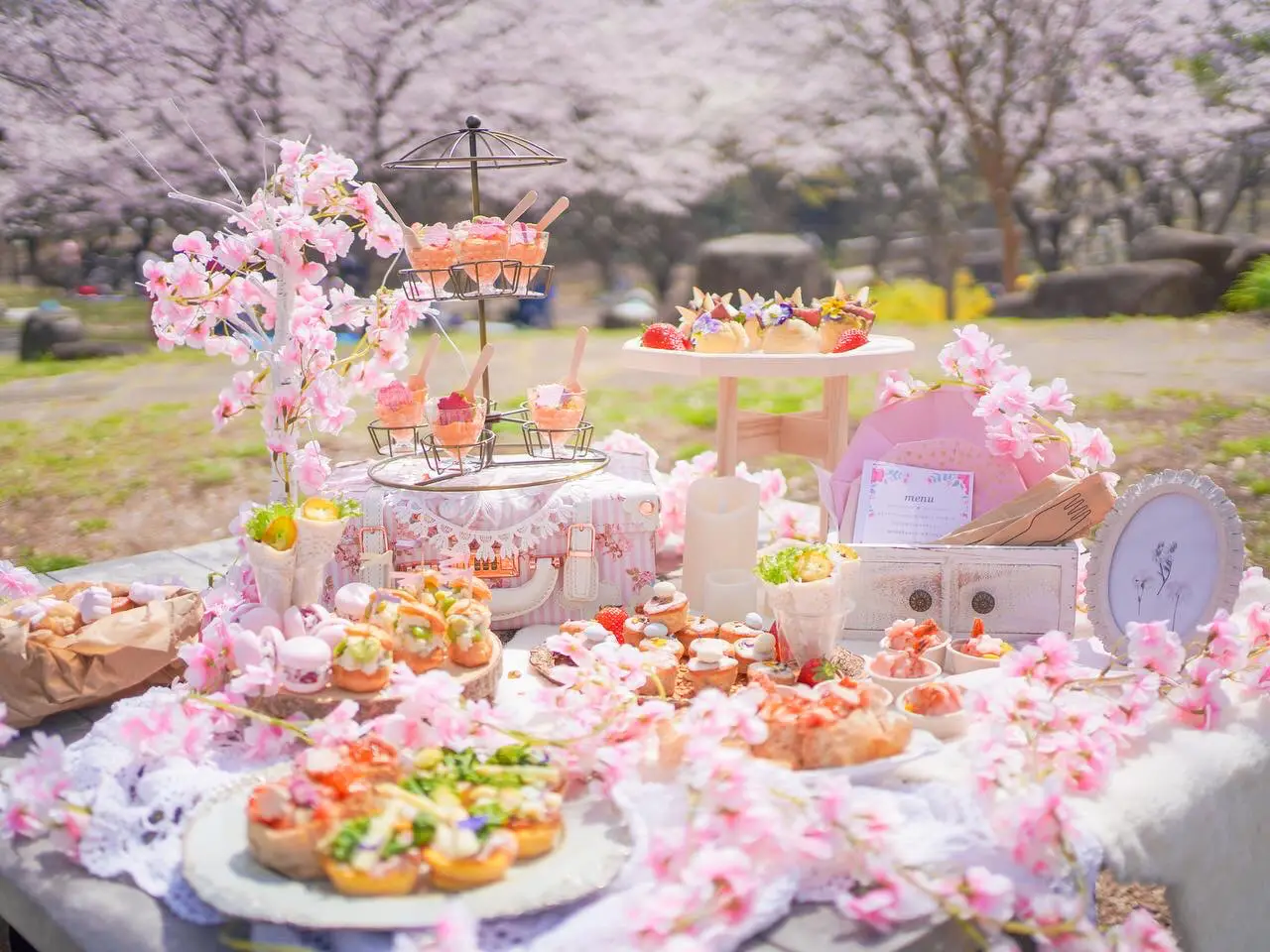 3月のおしゃピク🌸お花見らしくピンクメインで桜 | environsが投稿した