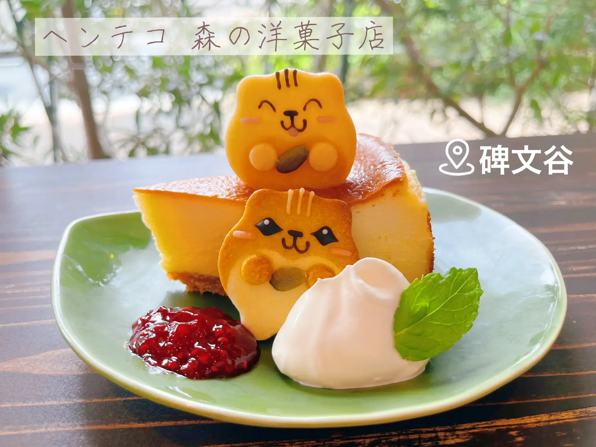 可愛い動物に出会えるカフェ🐹🌱 | すあまの正直グルメ🍭が投稿したフォトブック | Lemon8